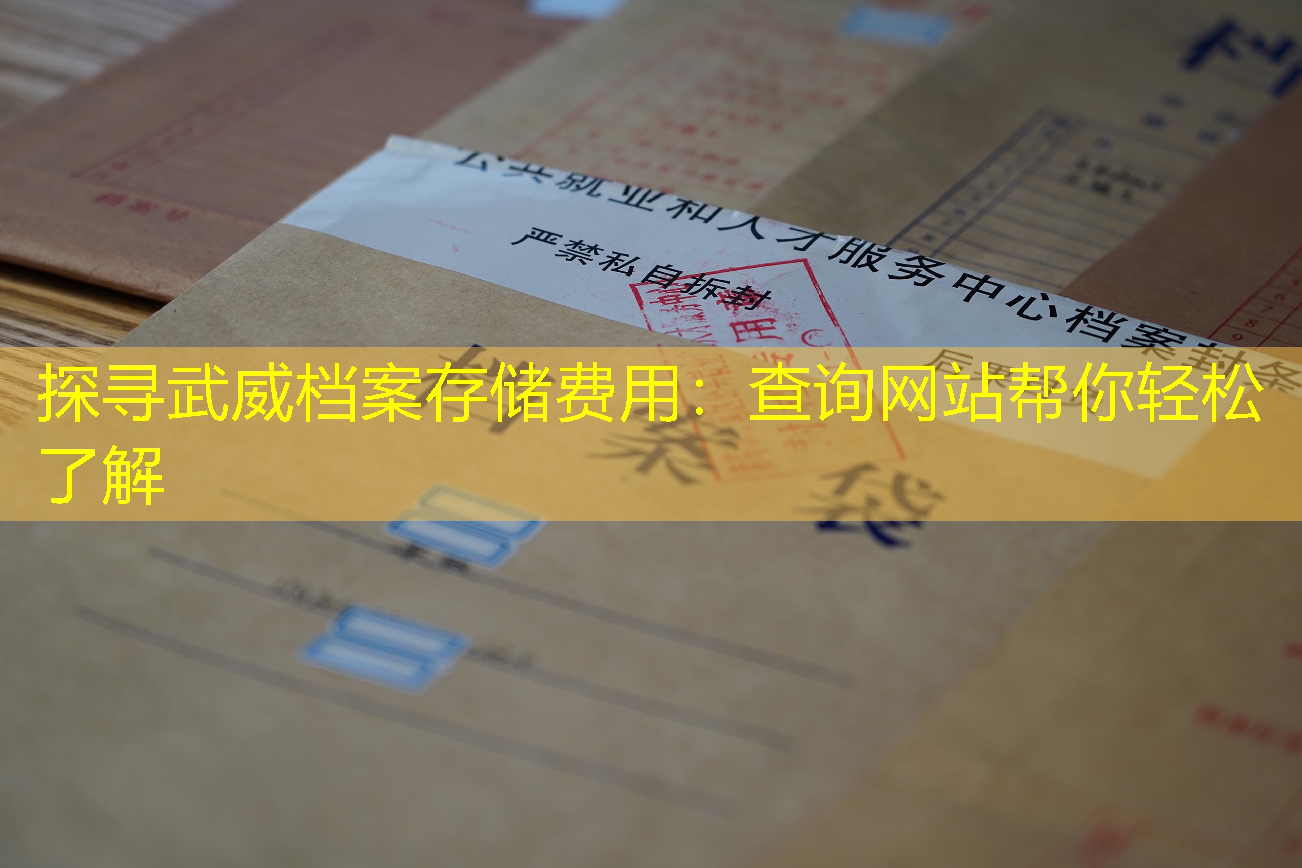 档案查询