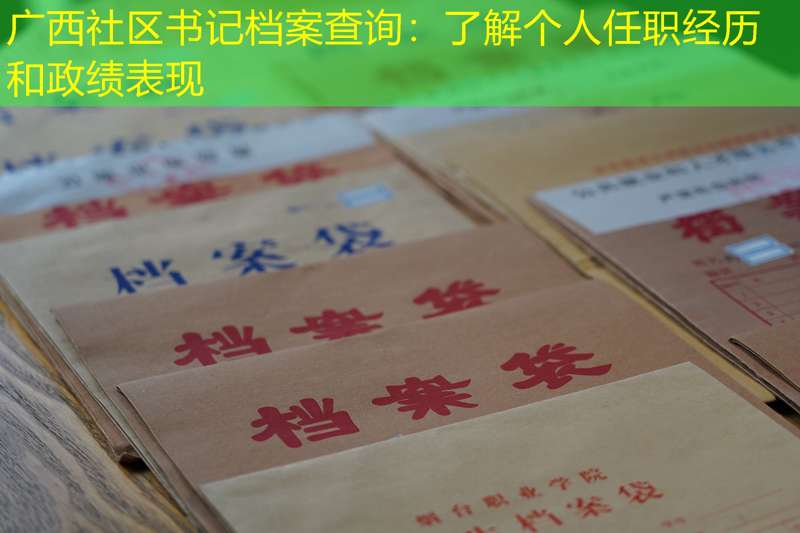 档案查询