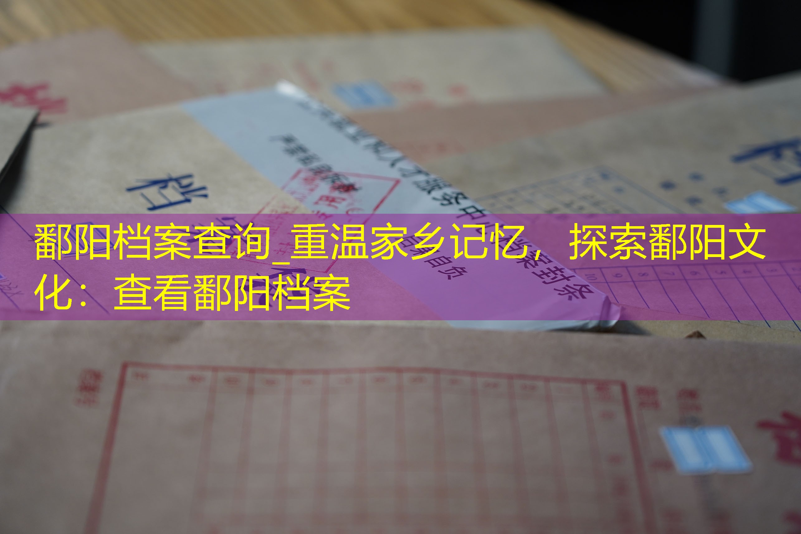 档案查询