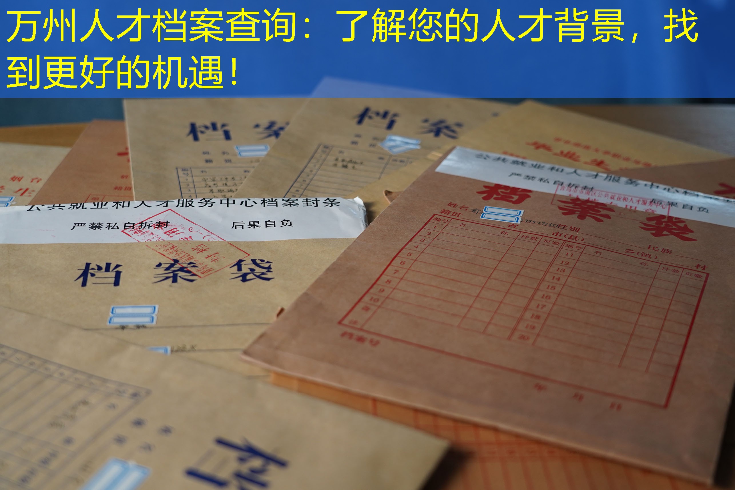 档案查询