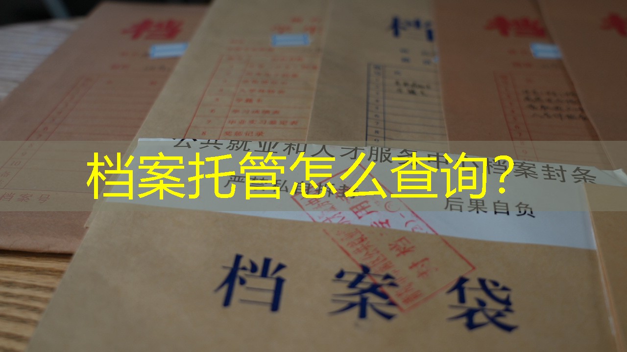 档案查询