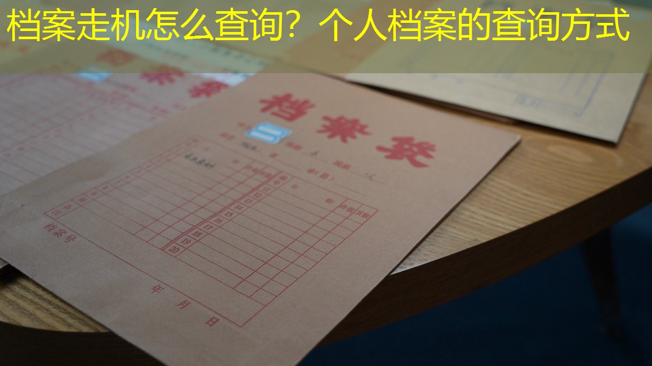 档案查询
