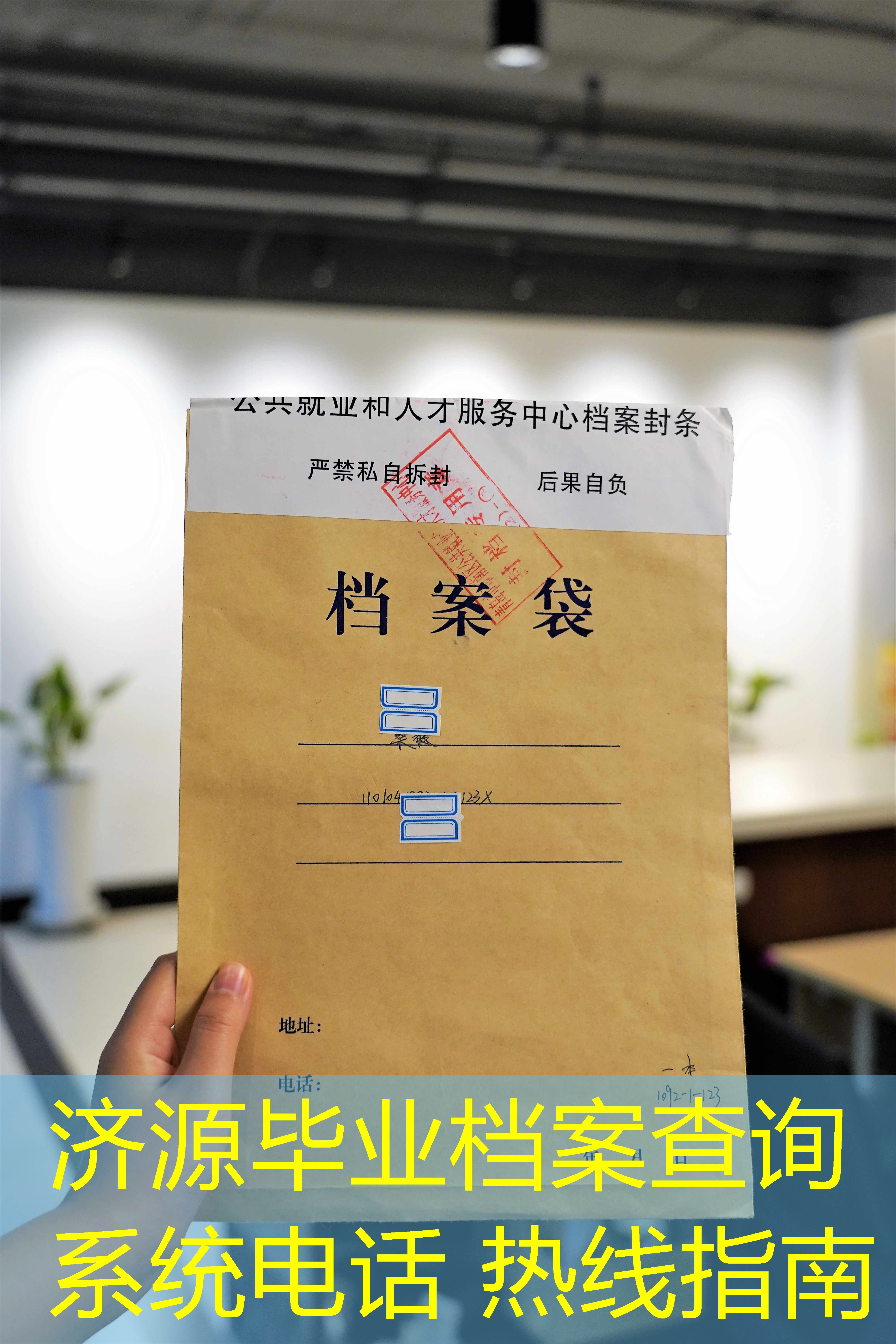 档案查询
