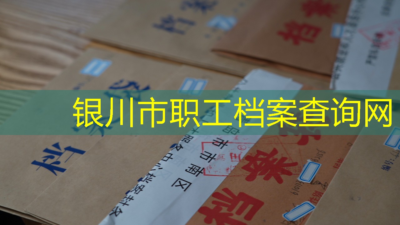档案查询