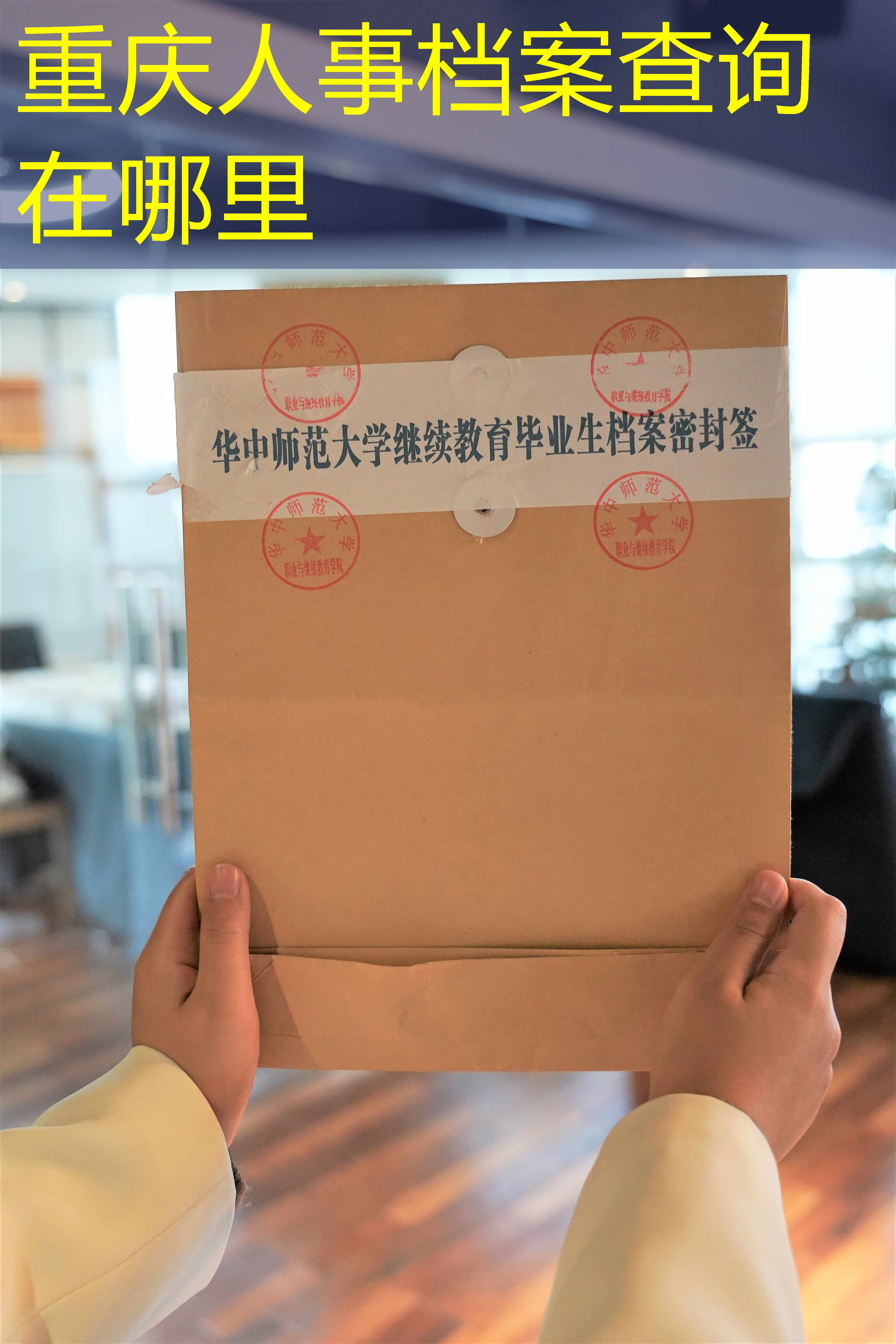 档案查询
