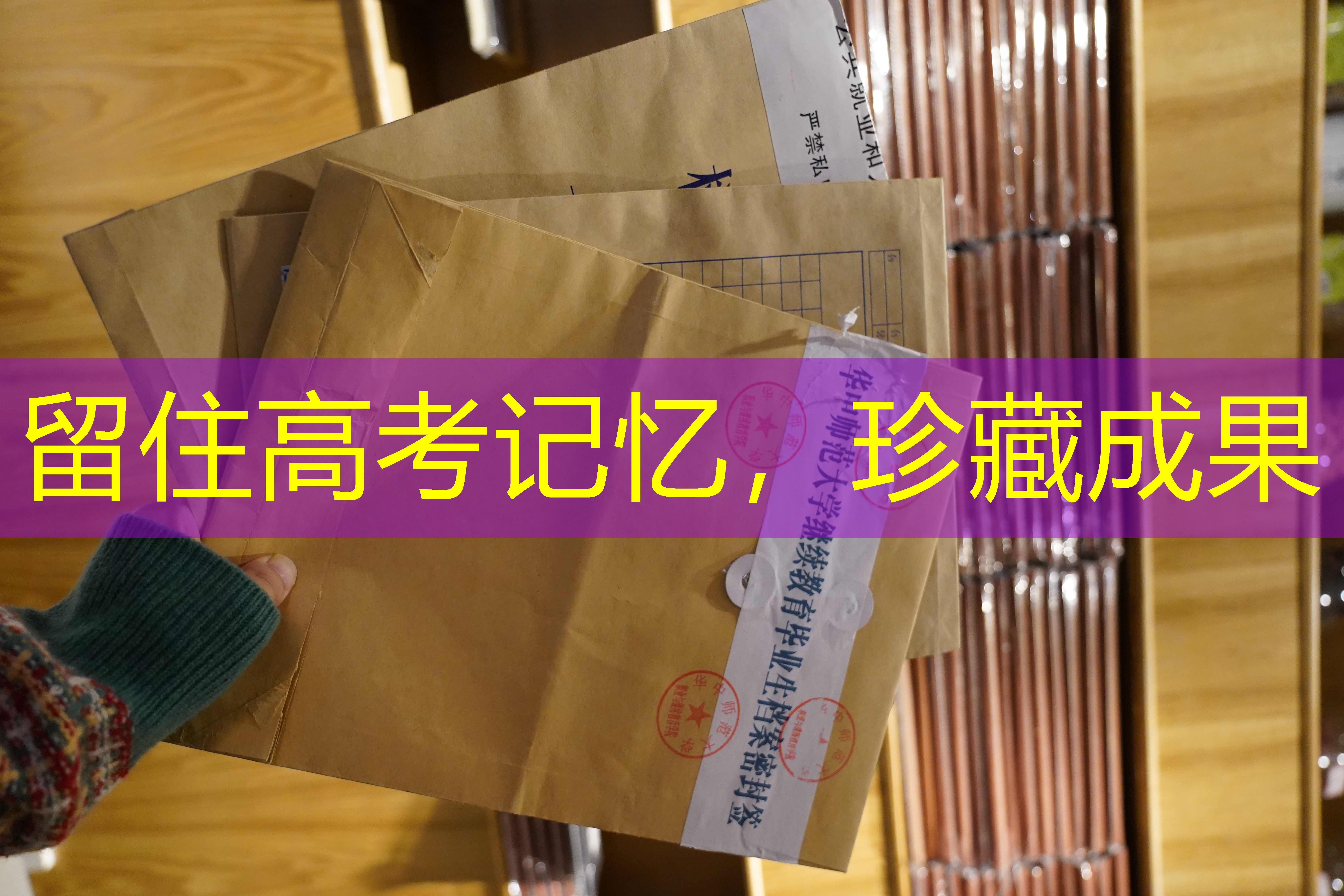档案查询