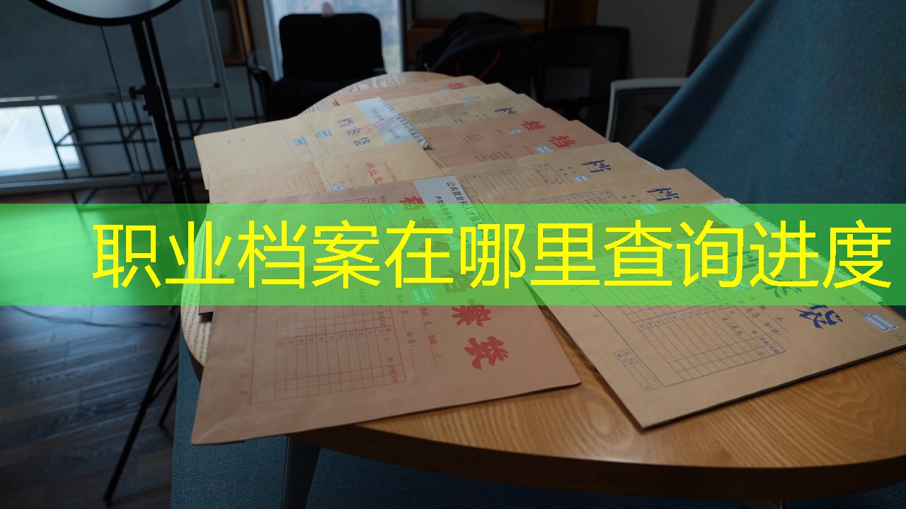档案查询