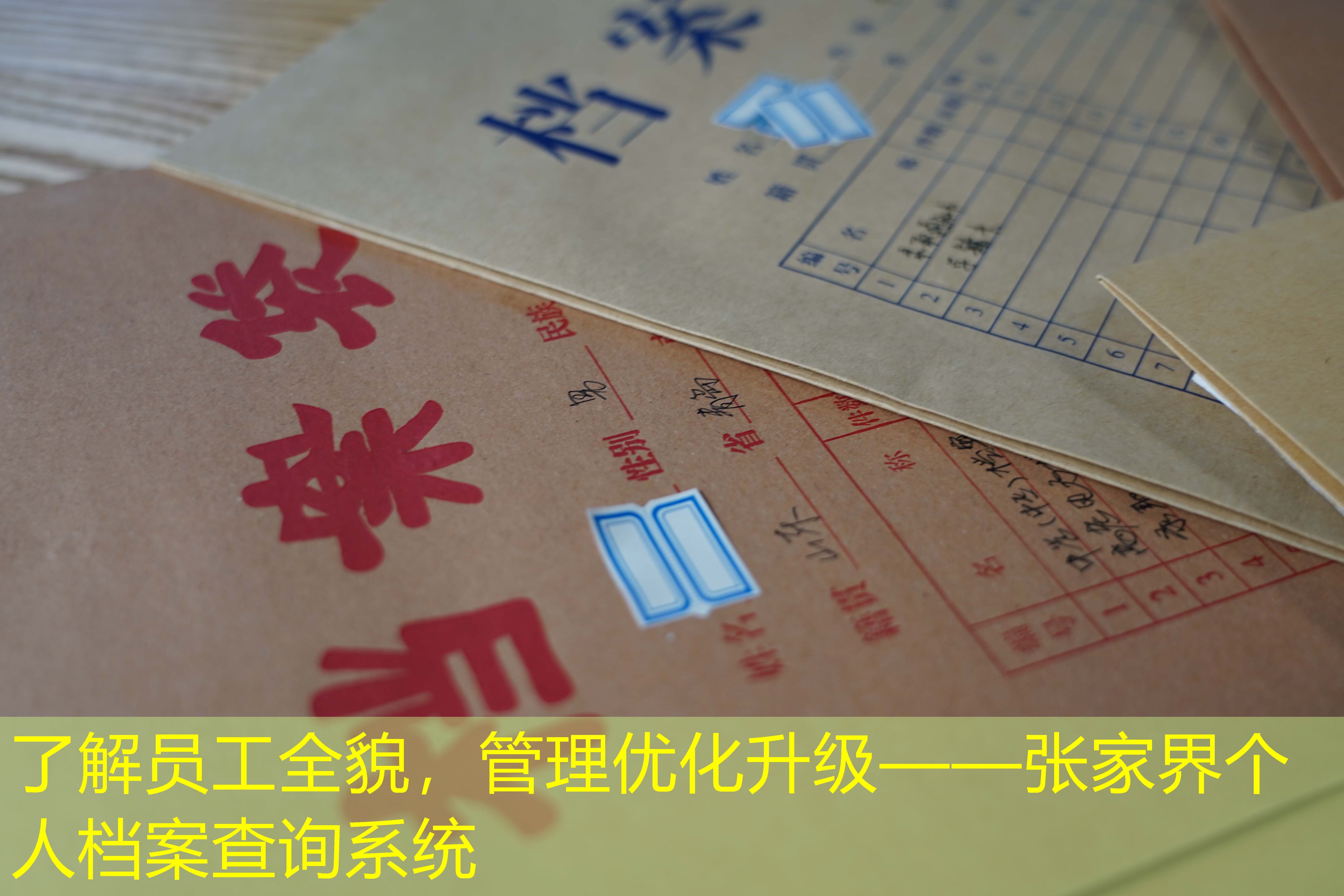 档案查询