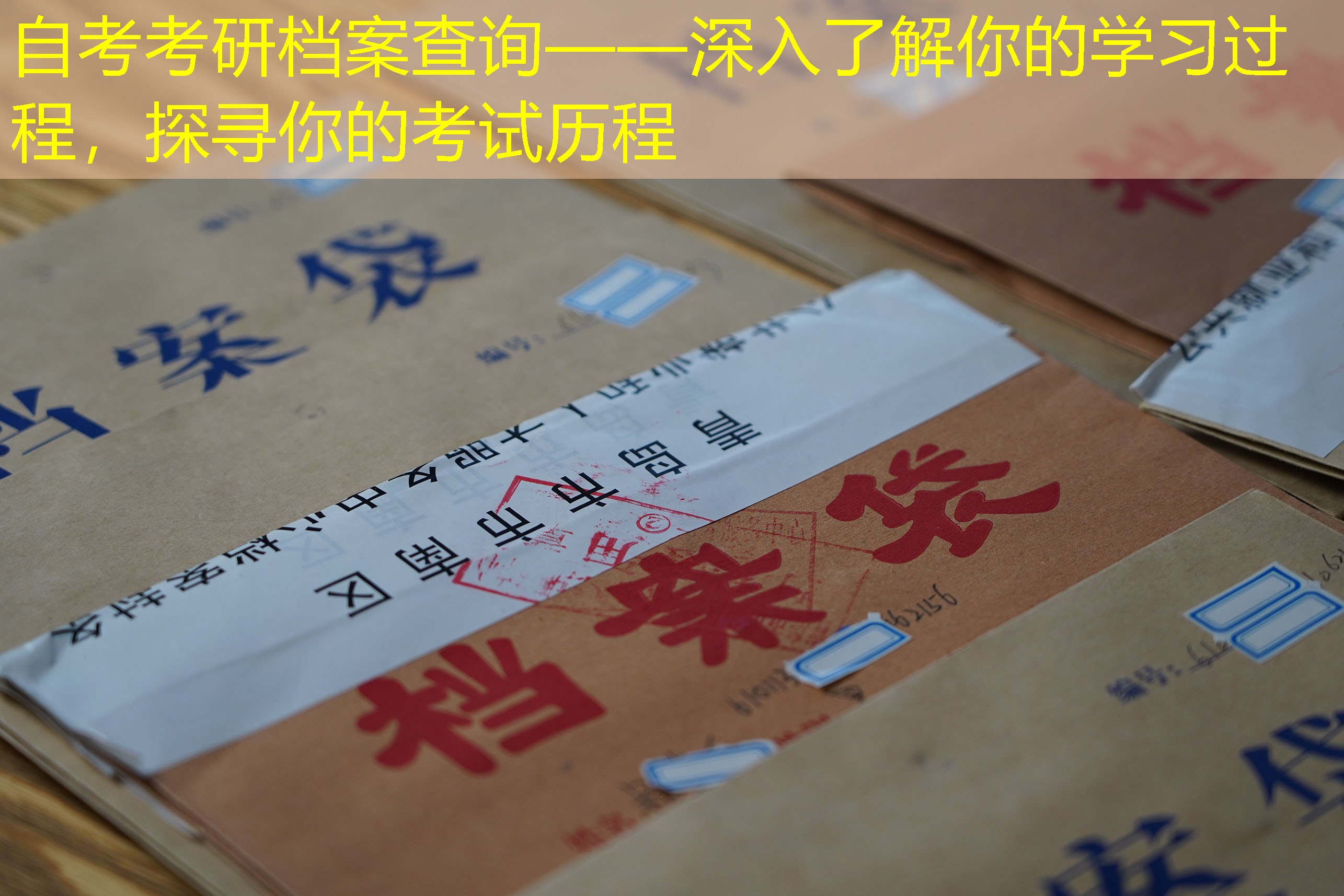 档案查询