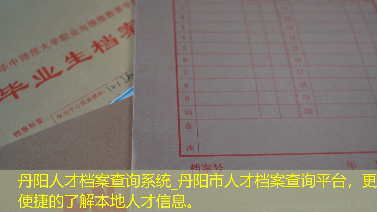 档案查询