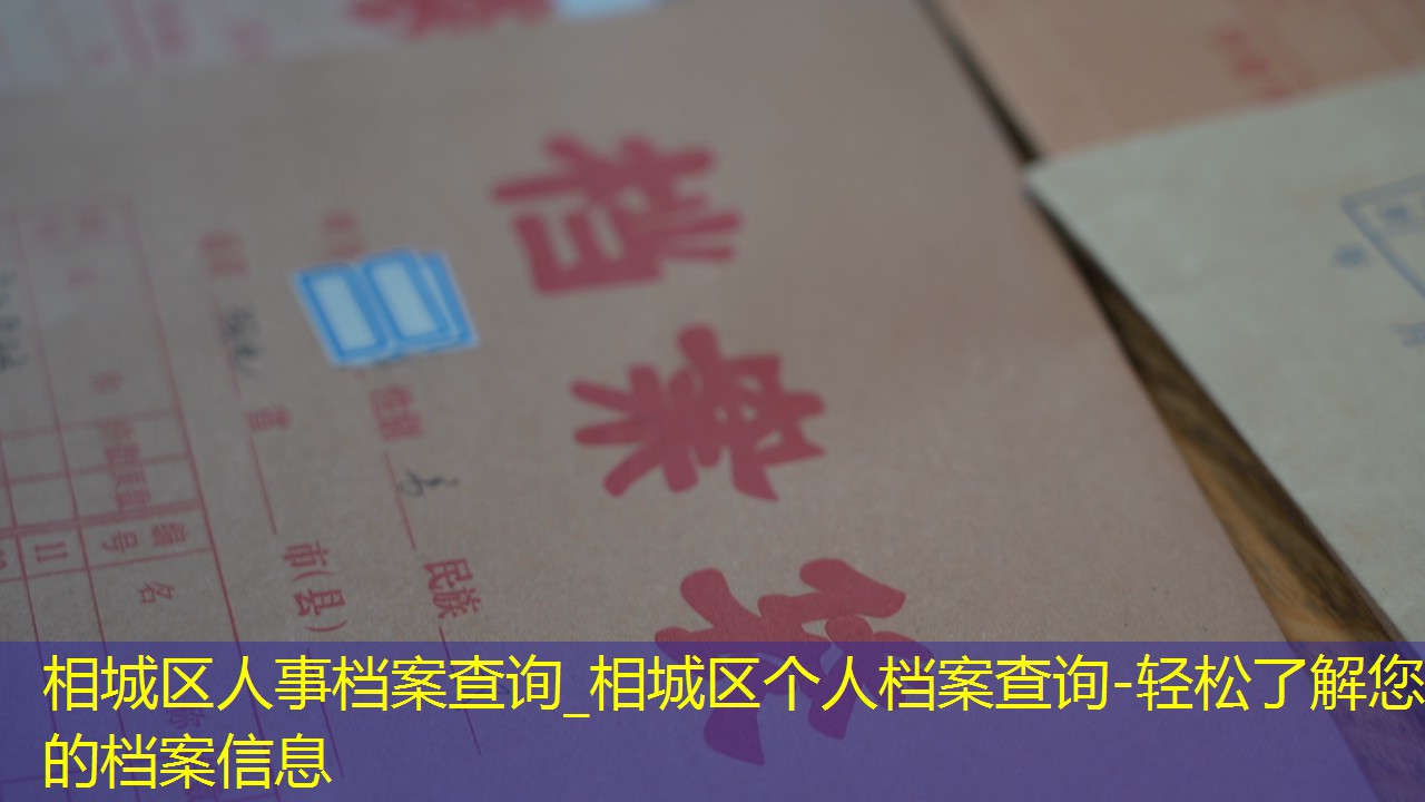 档案查询