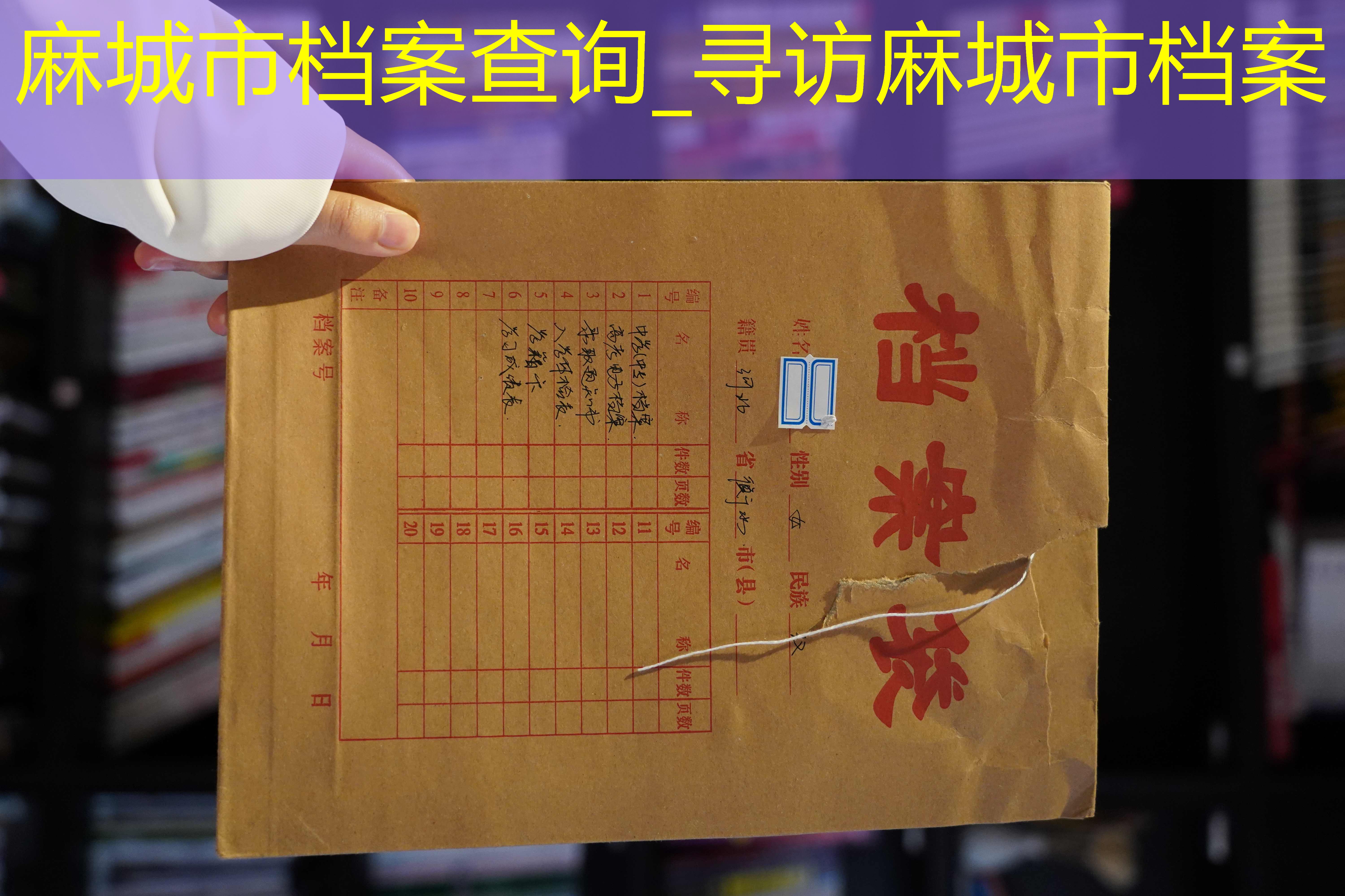 档案查询