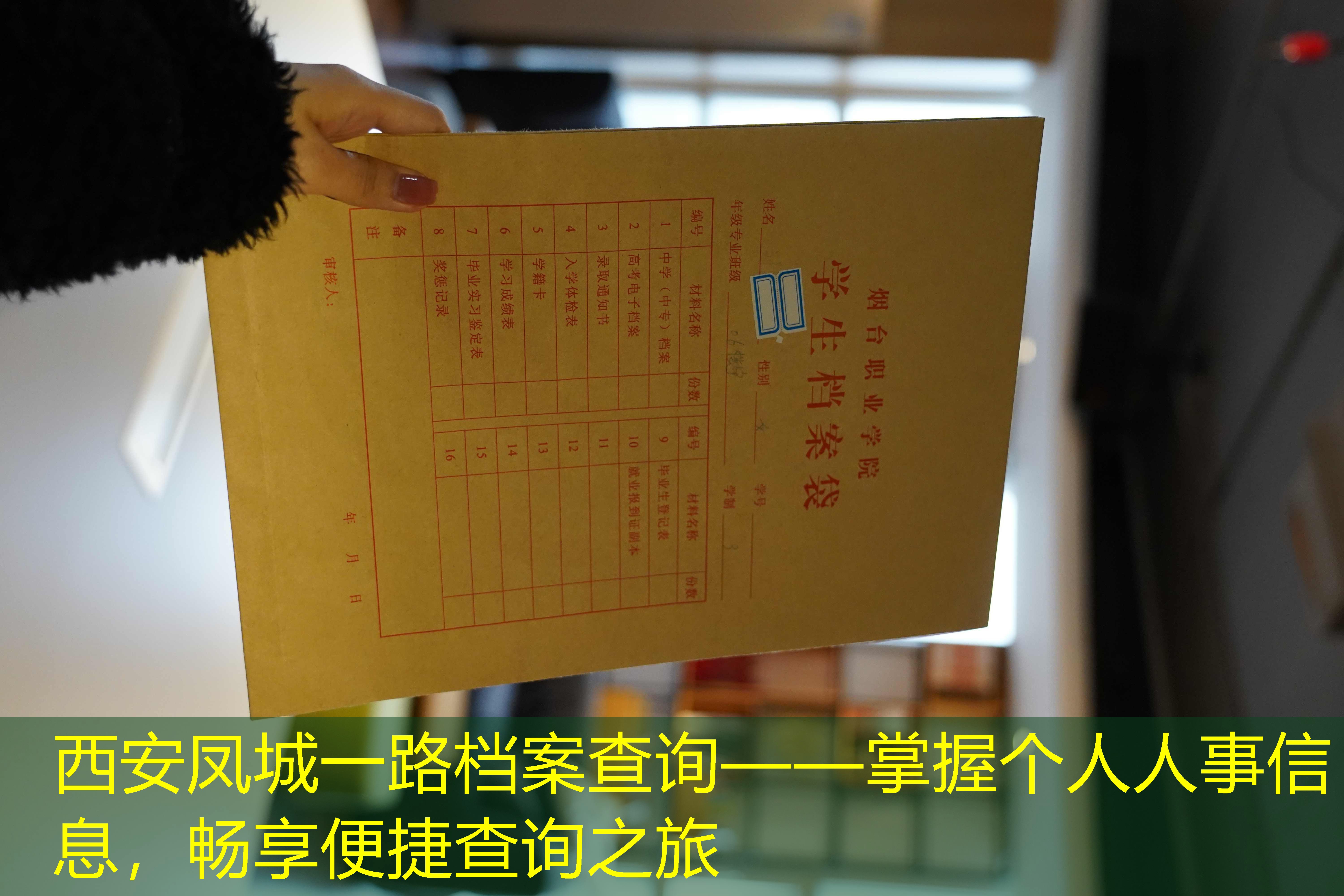 档案查询