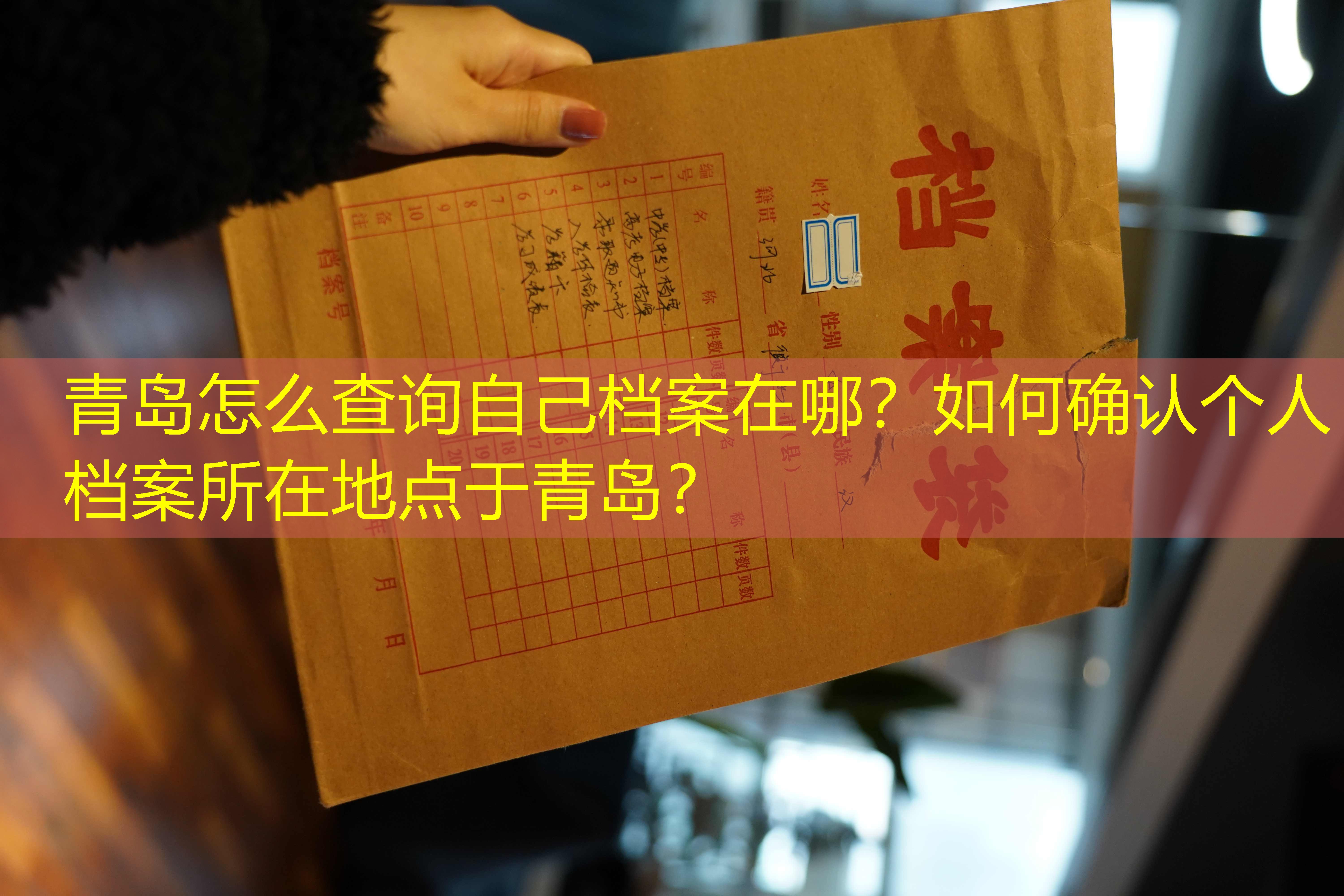 档案查询