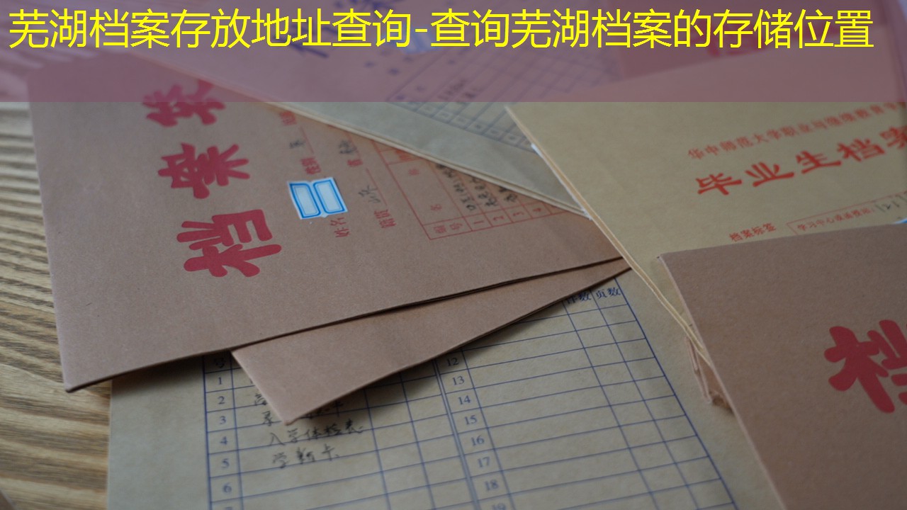 档案查询
