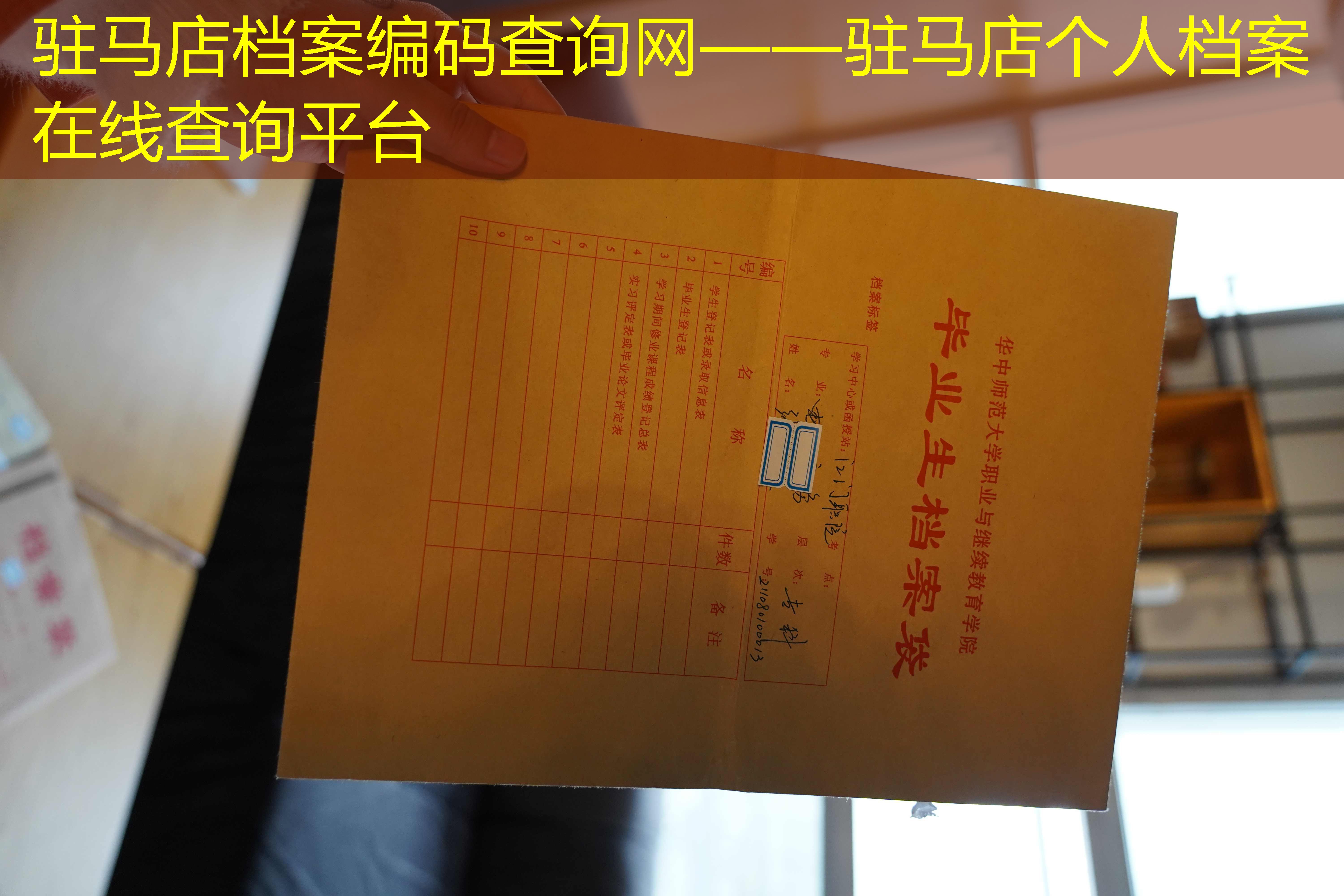 档案查询