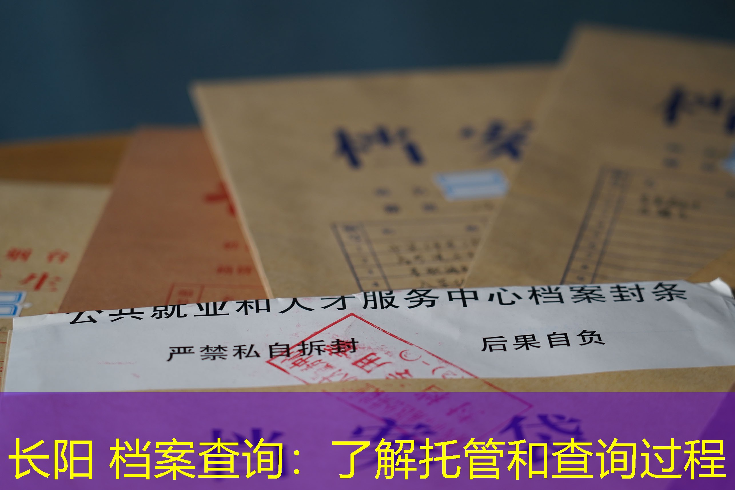 档案查询
