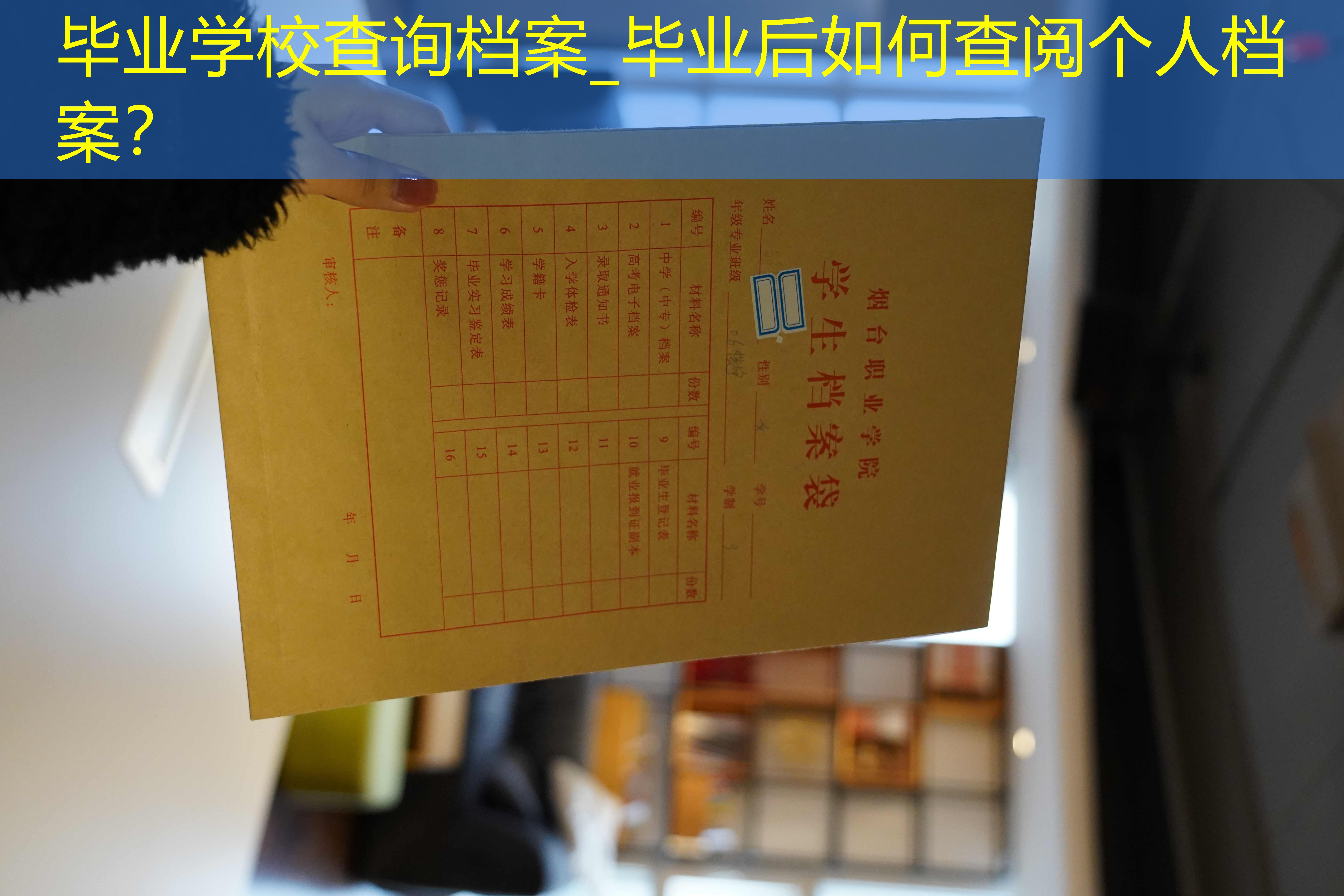 档案查询