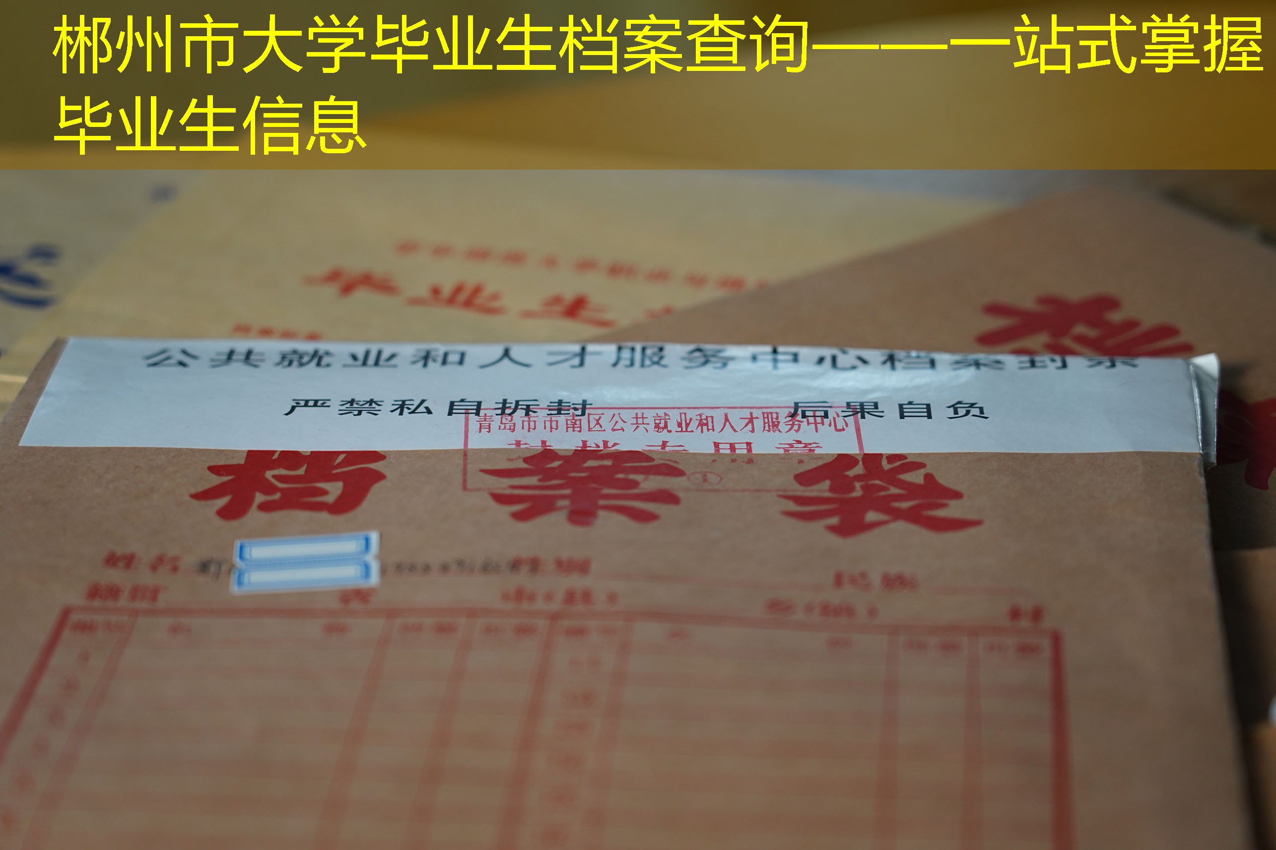 档案查询