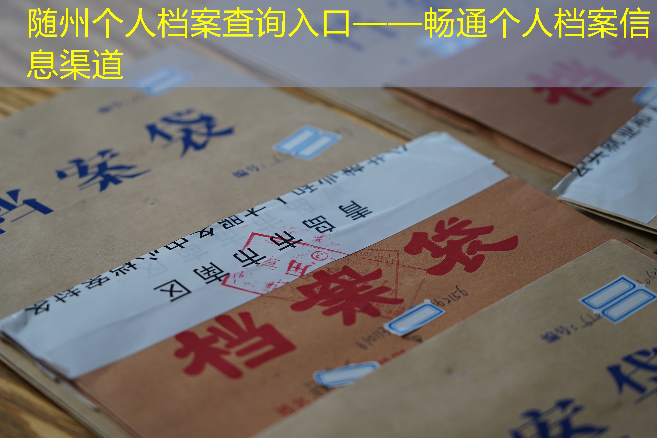 档案查询