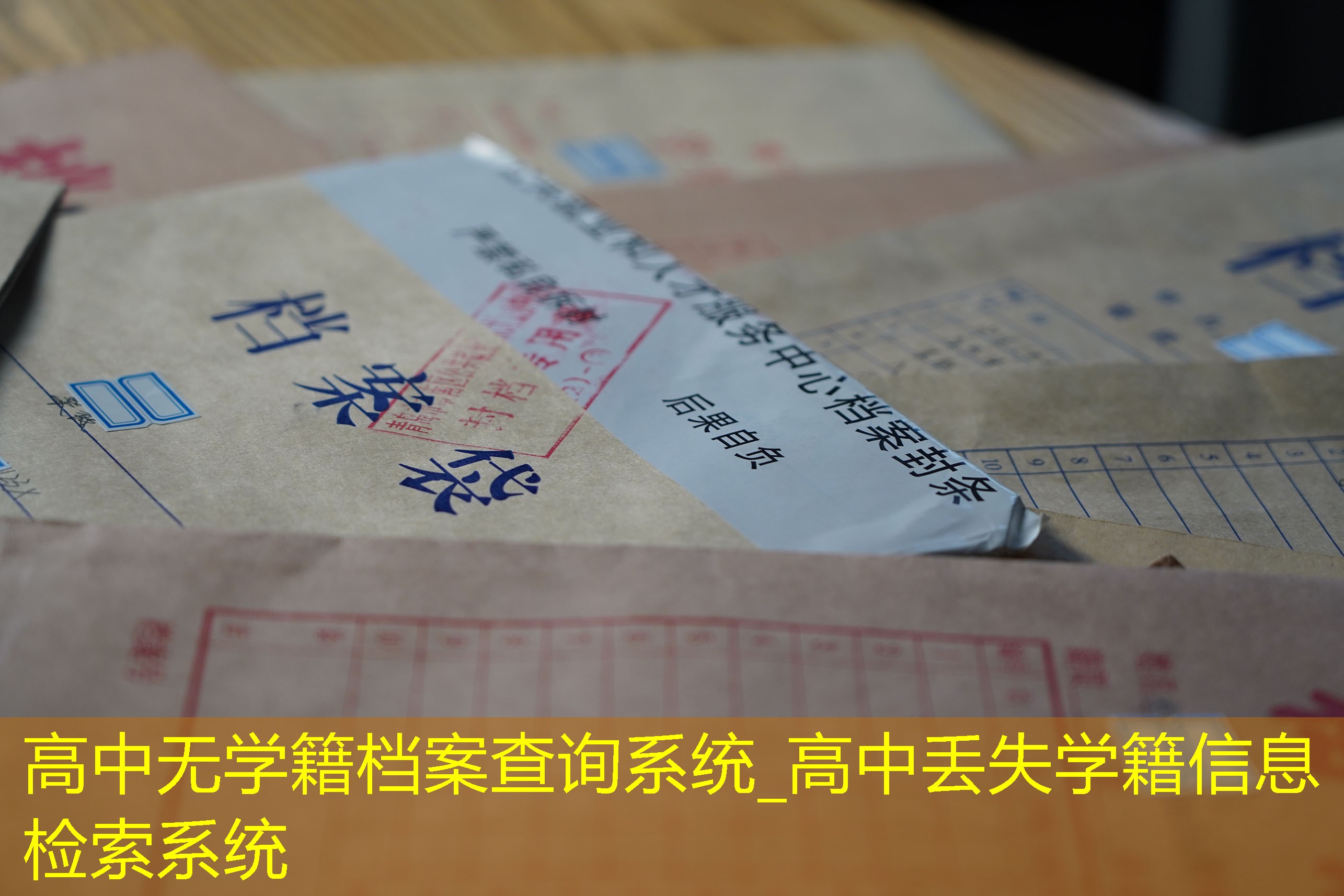 档案查询