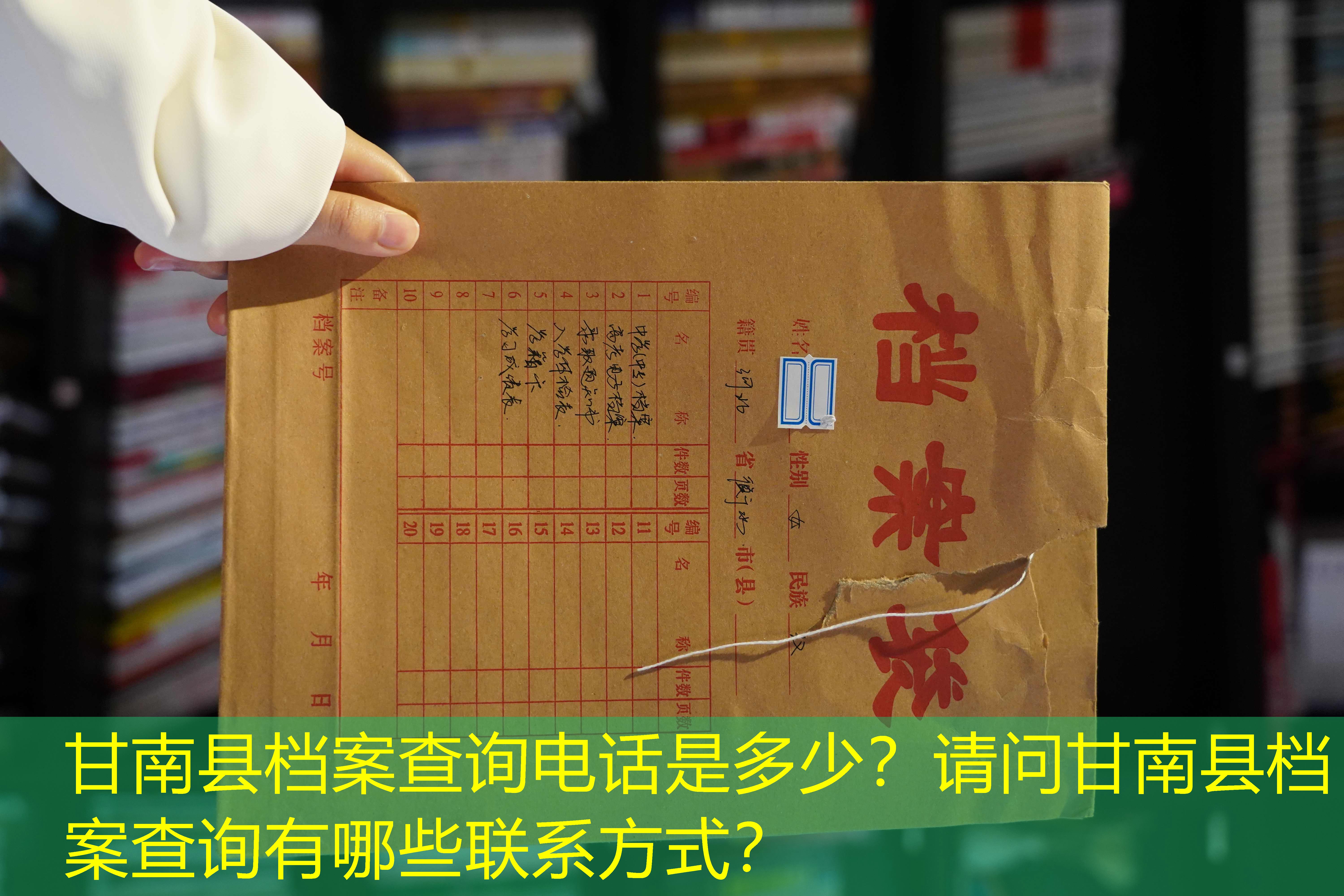 档案查询