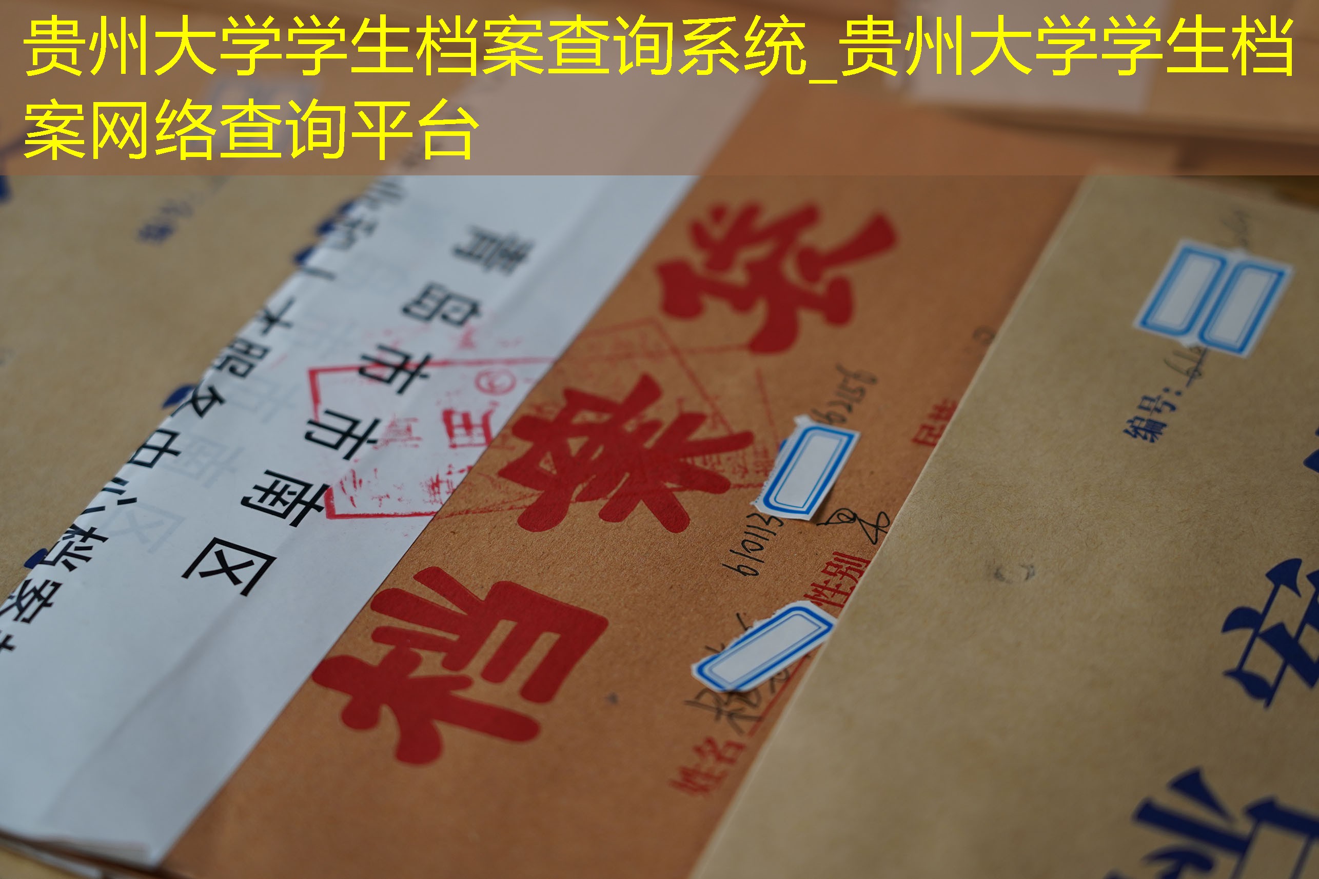 档案查询