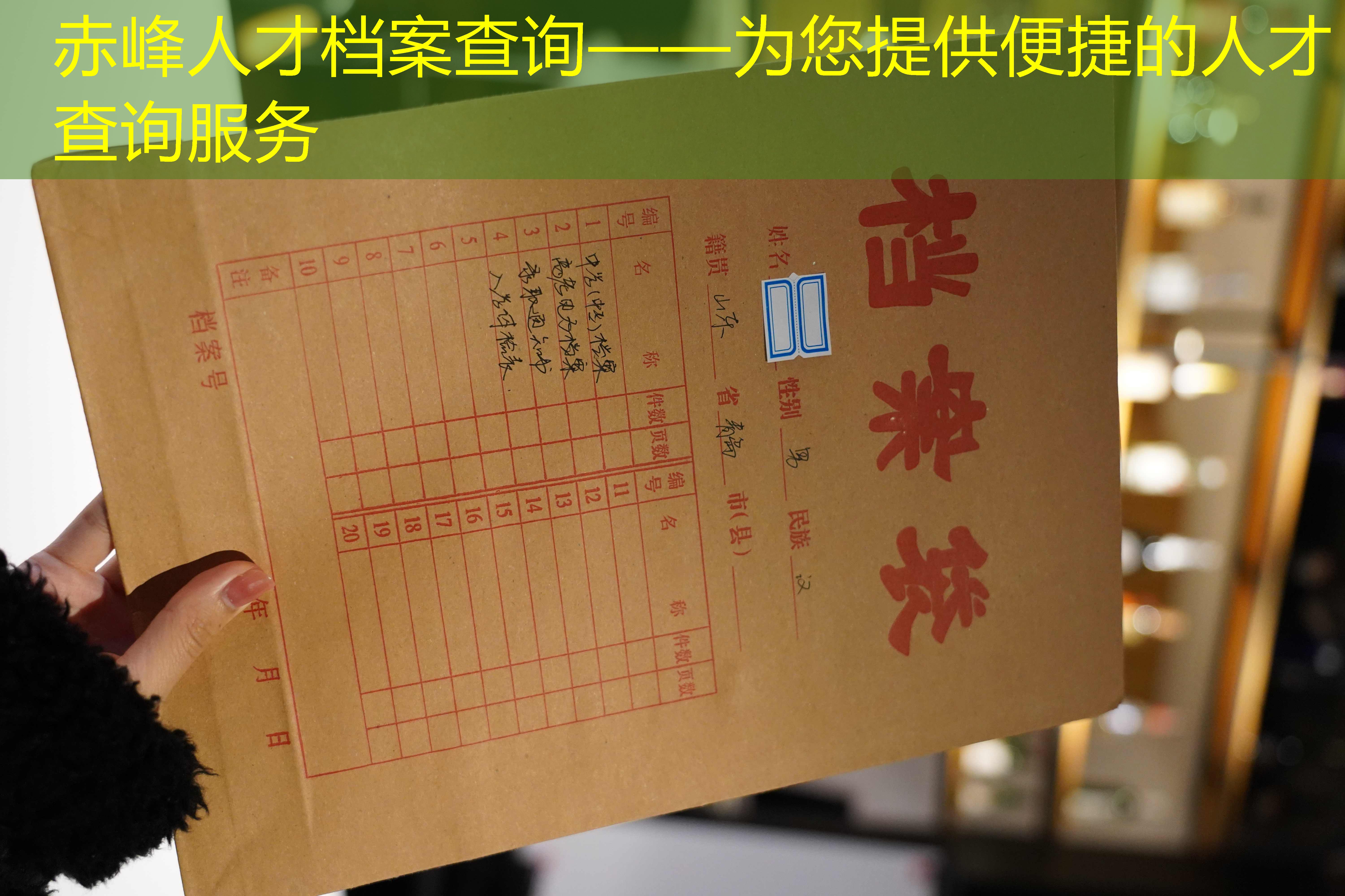 档案查询