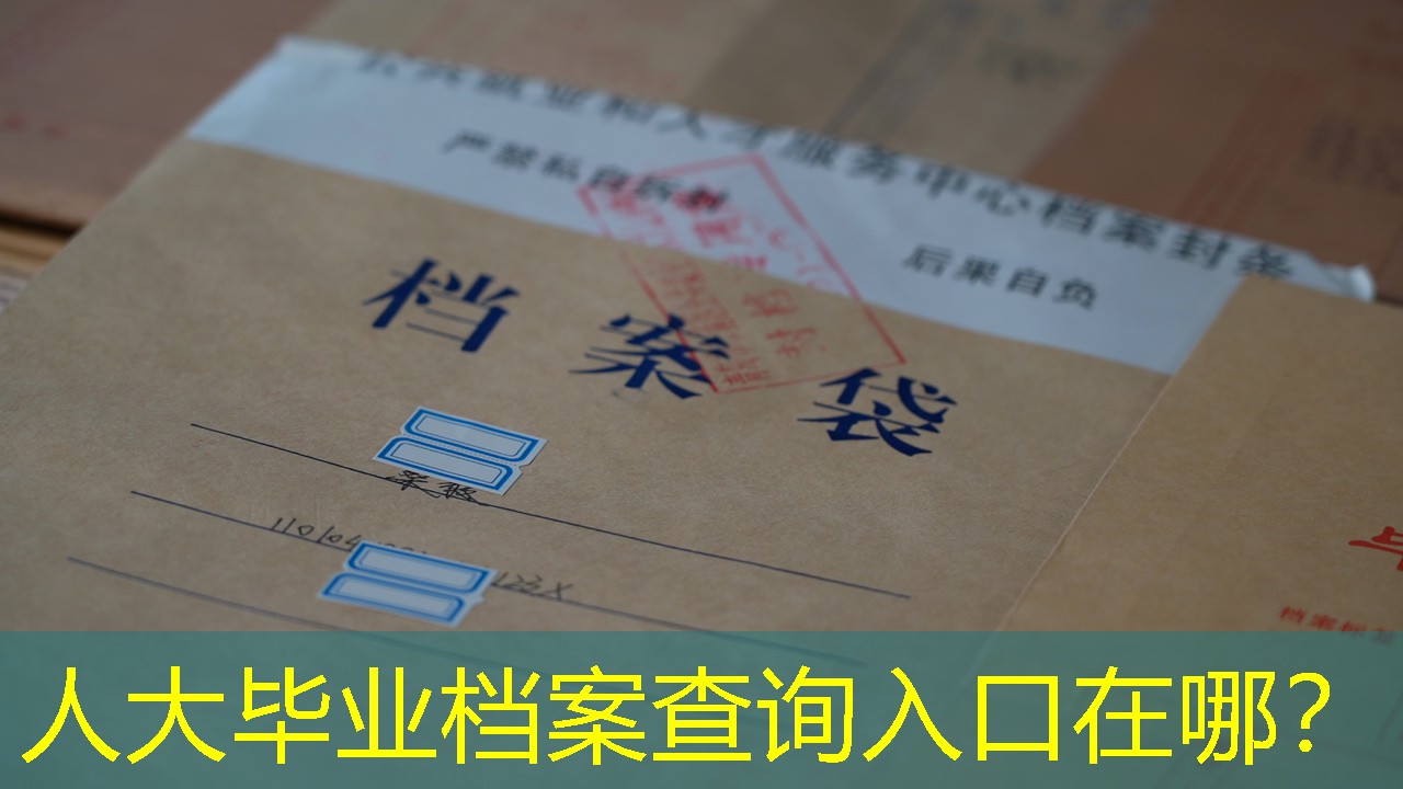 档案查询