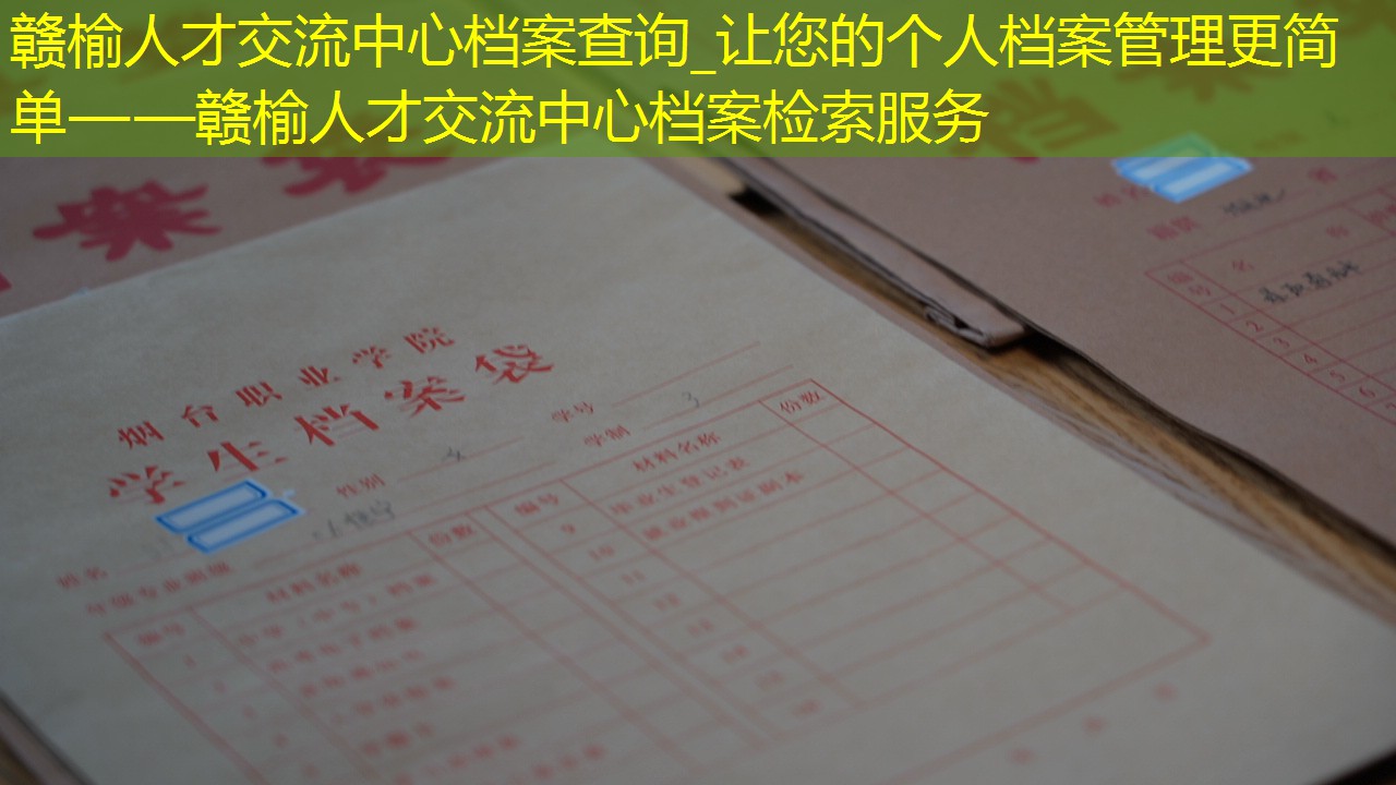 档案查询