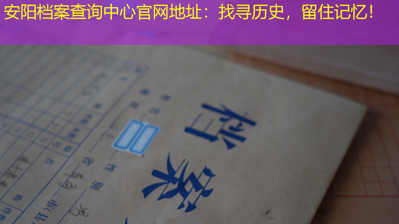 档案查询
