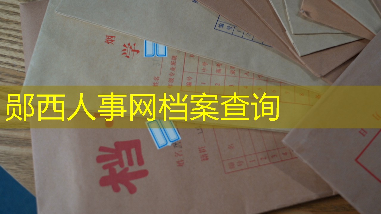 档案查询