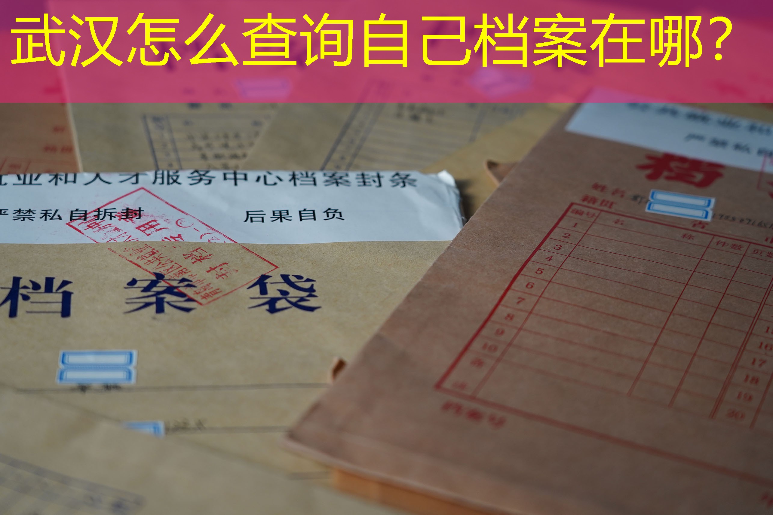档案查询