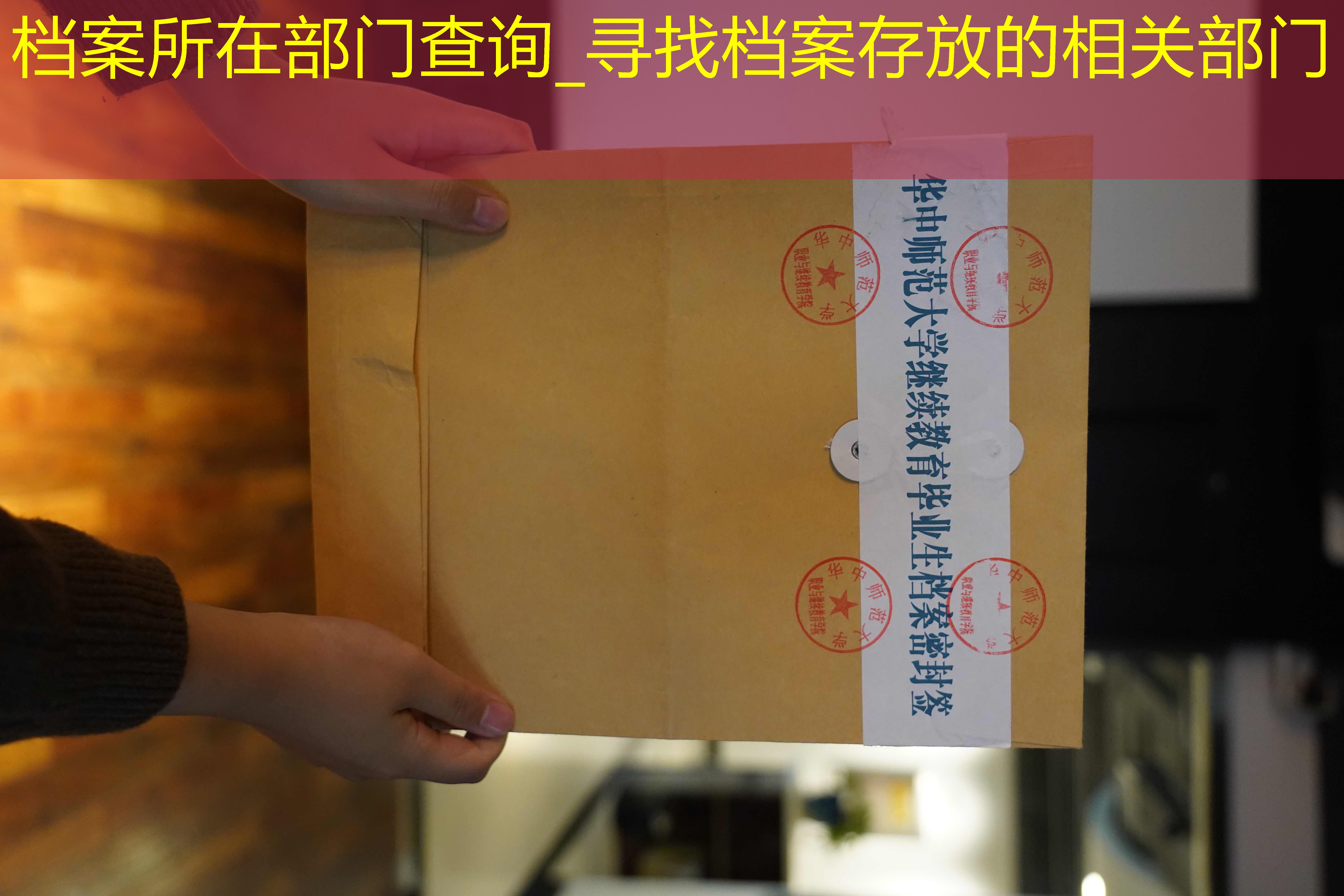 档案查询