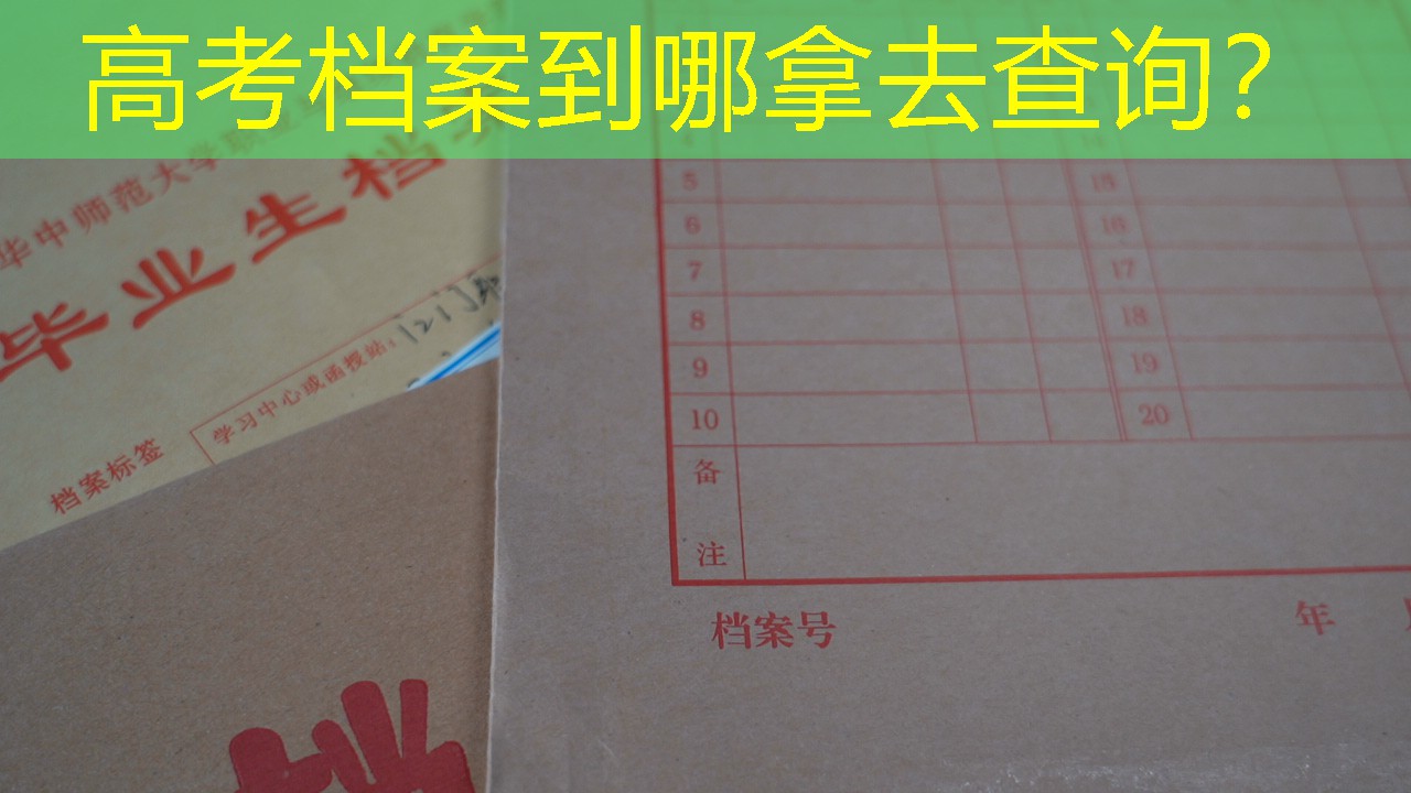 档案查询