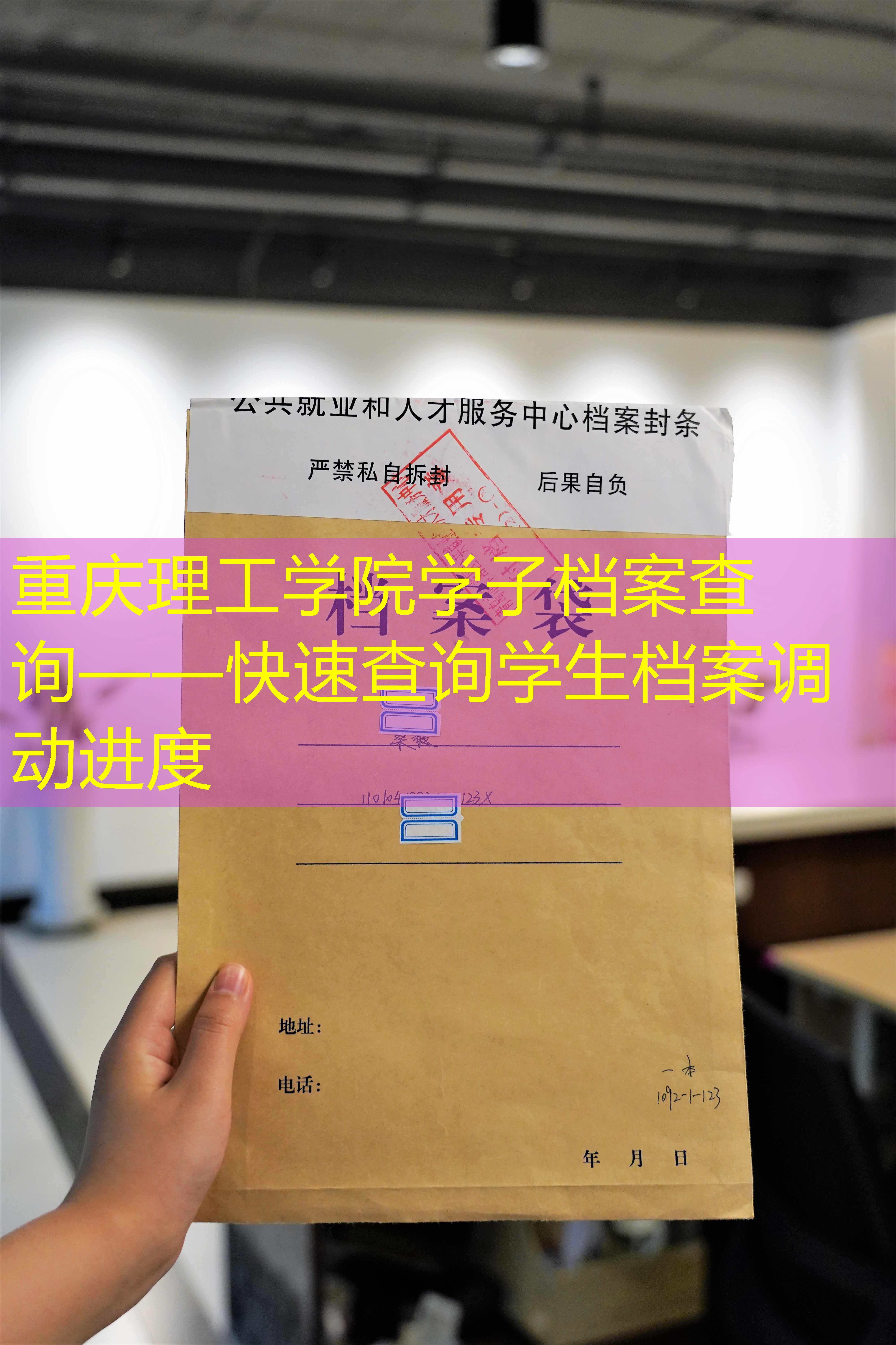 档案查询