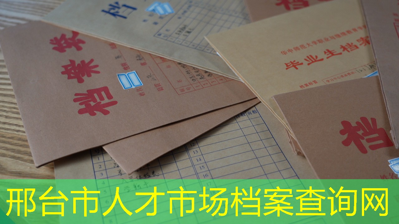 档案查询