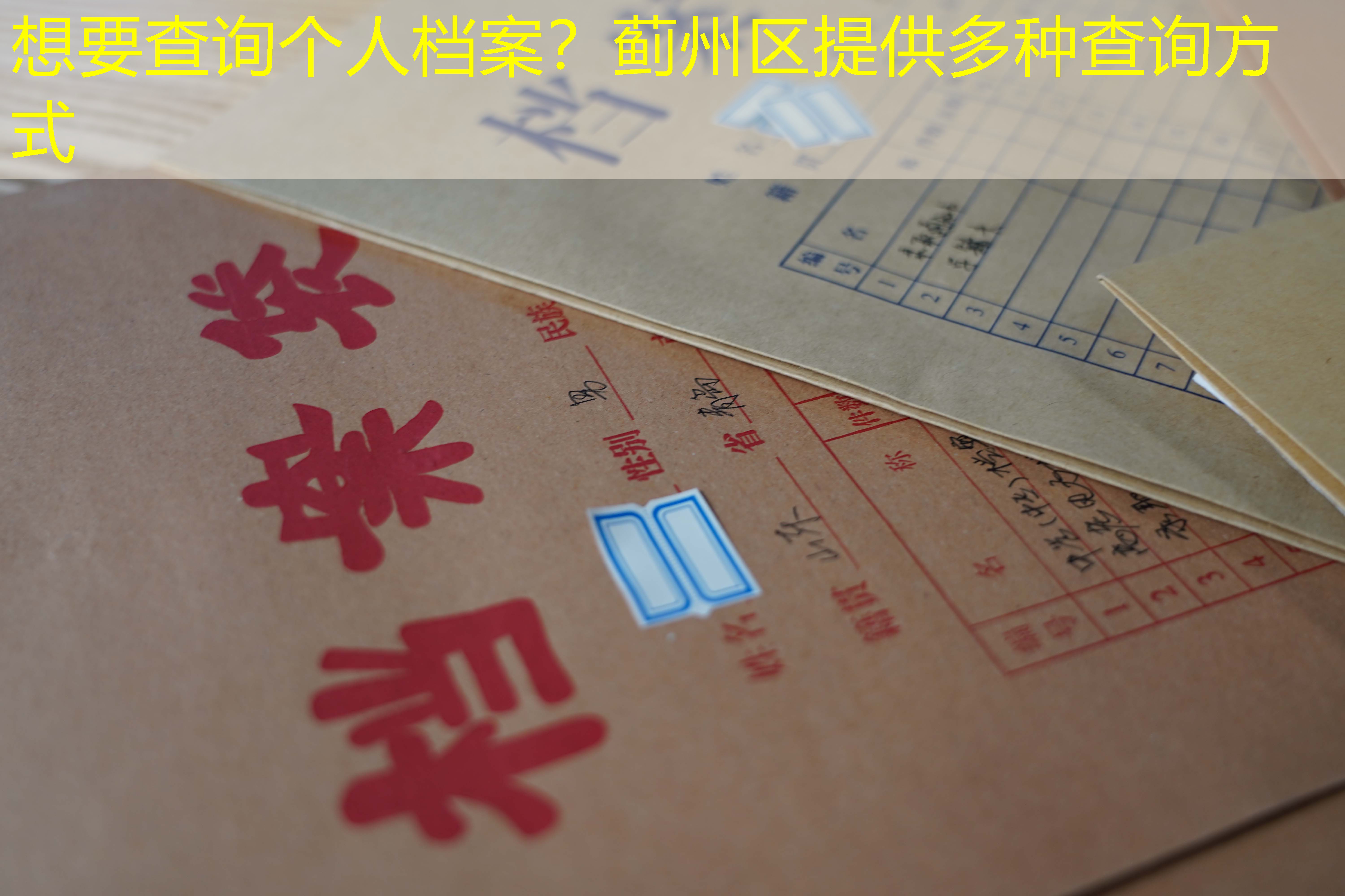 档案查询