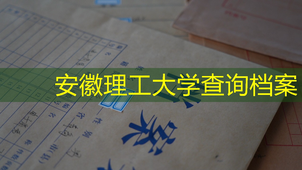 档案查询