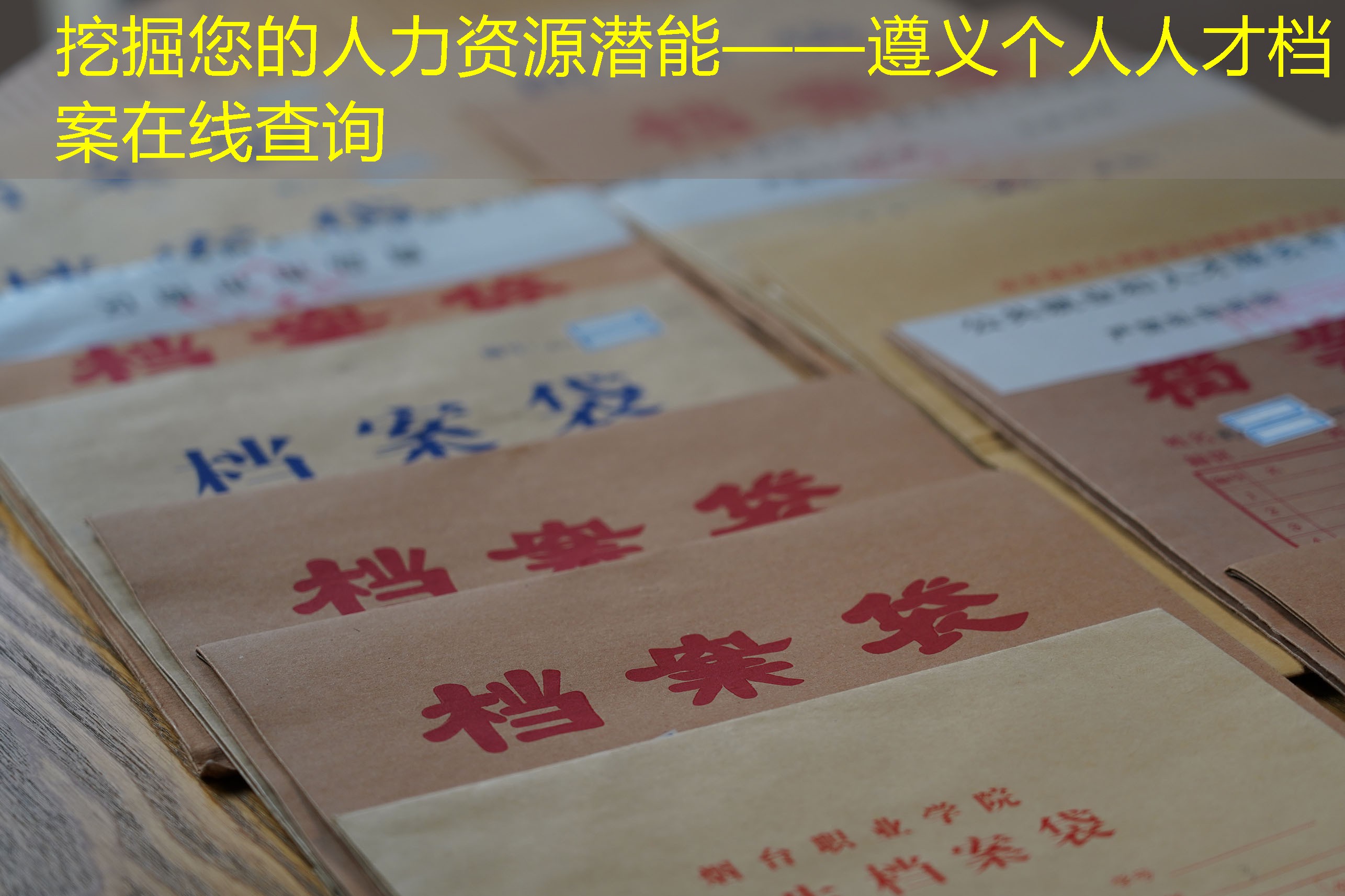 档案查询