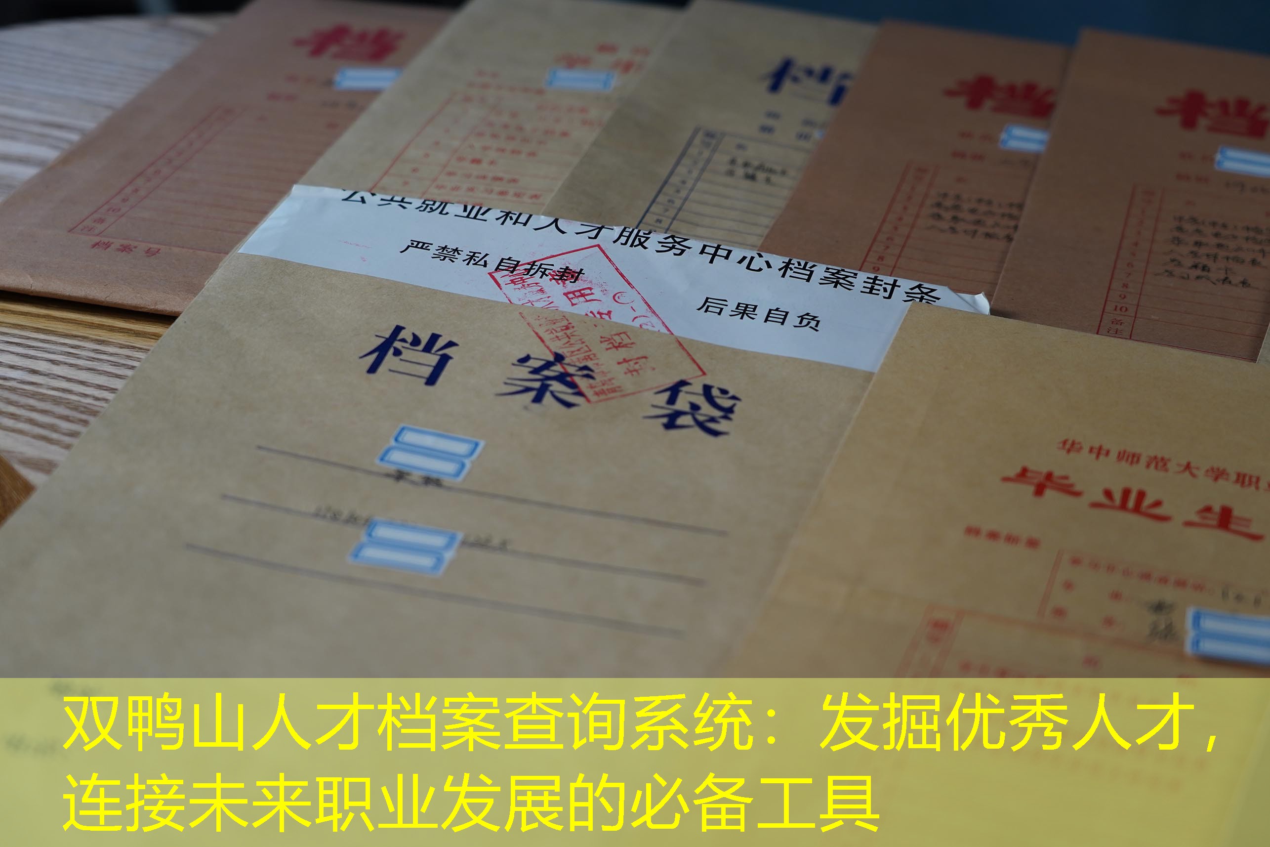 档案查询