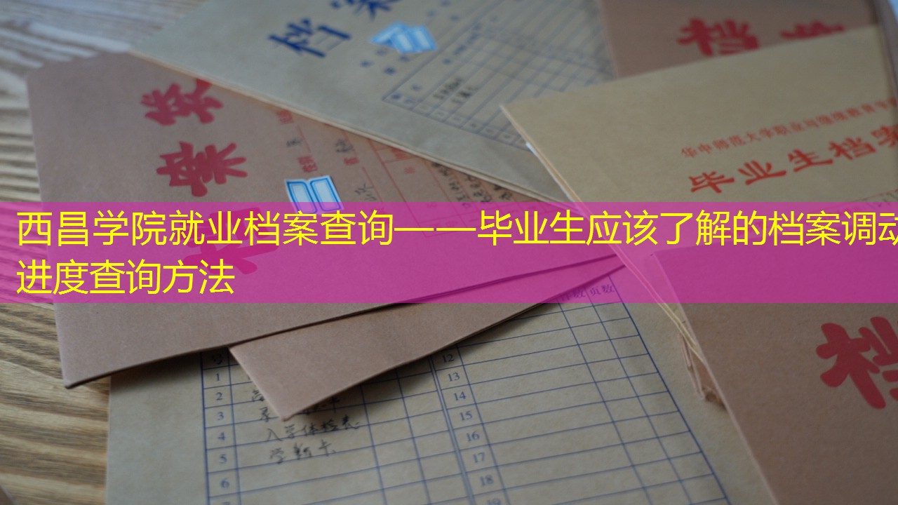 档案查询