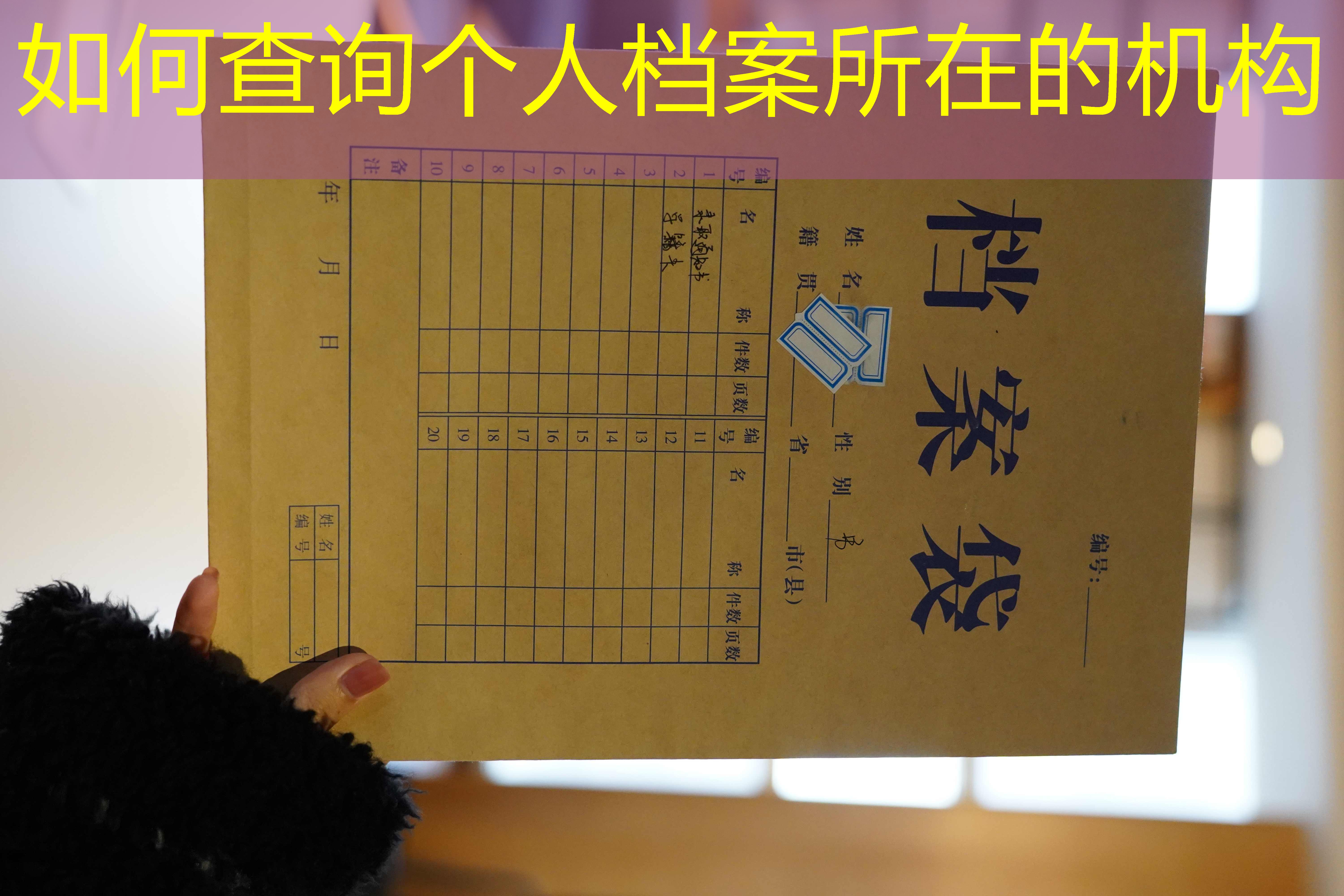 档案查询