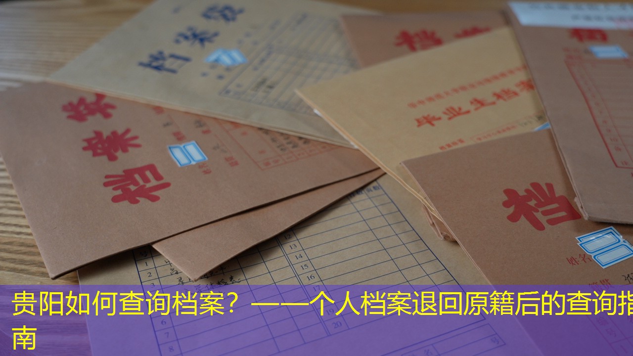 档案查询