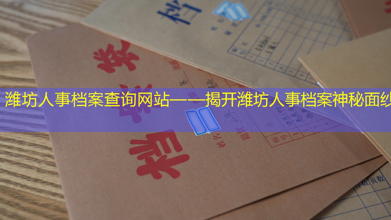 档案查询