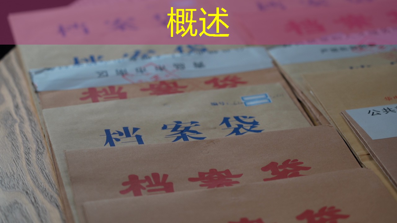 档案查询