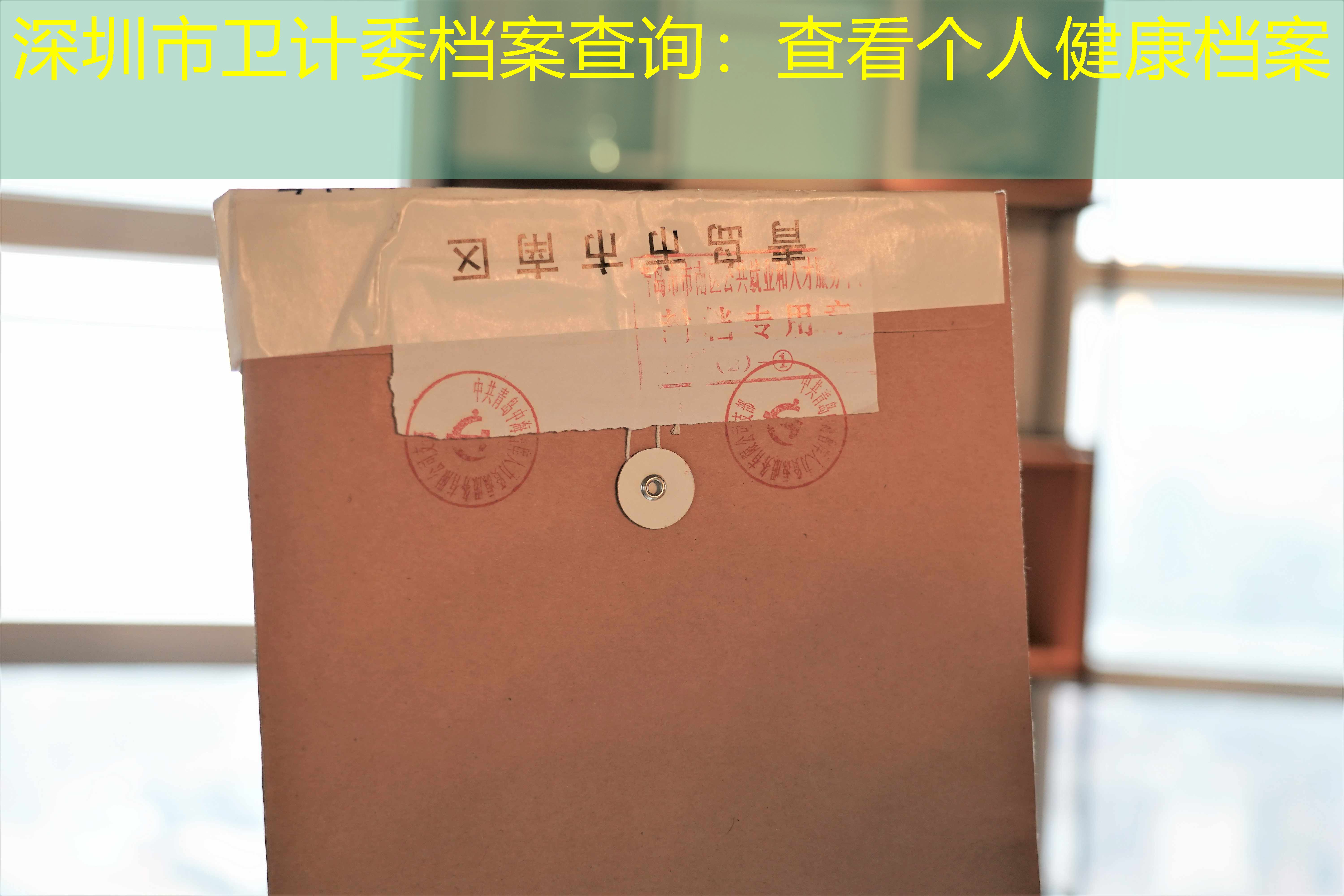 档案查询