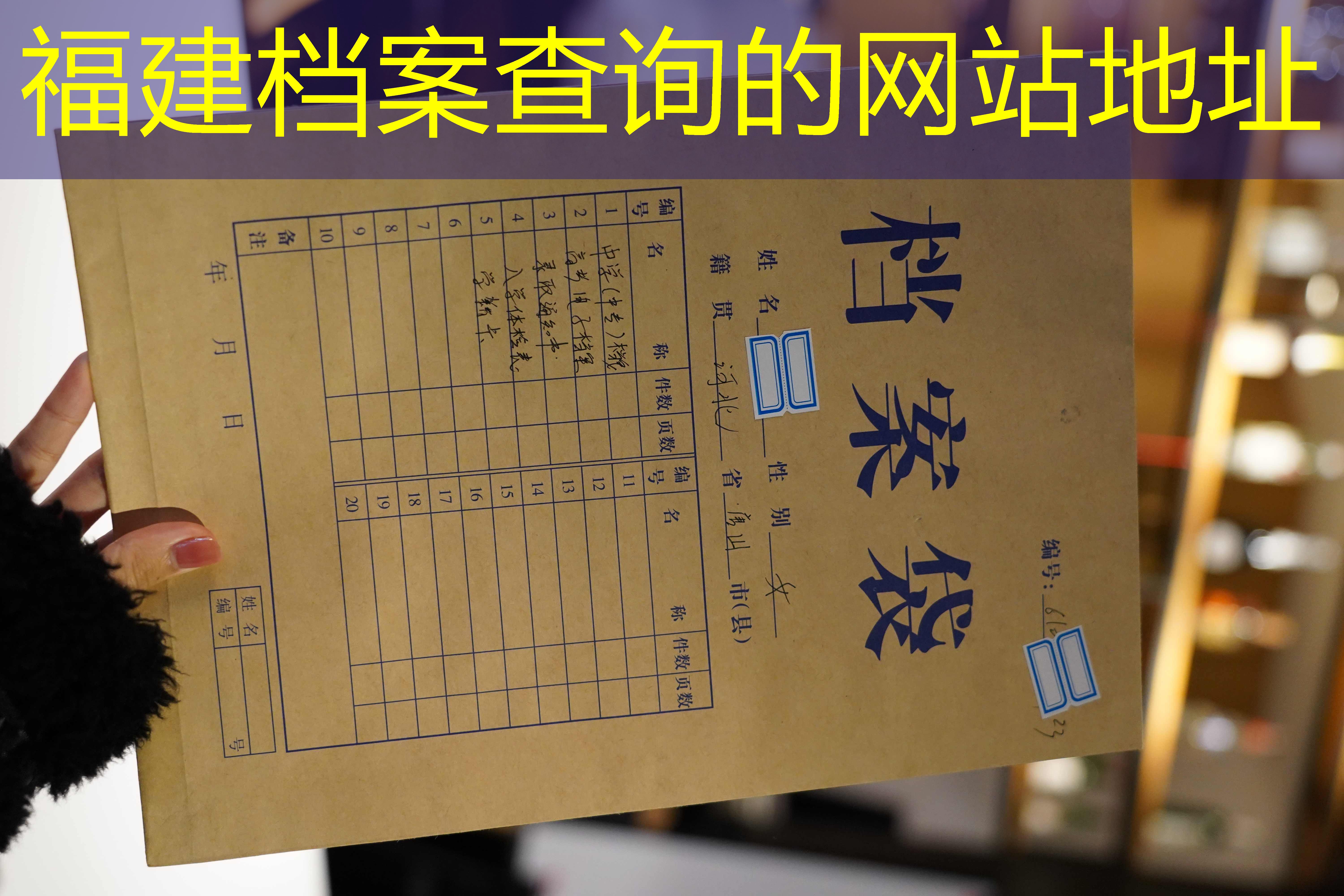 档案查询