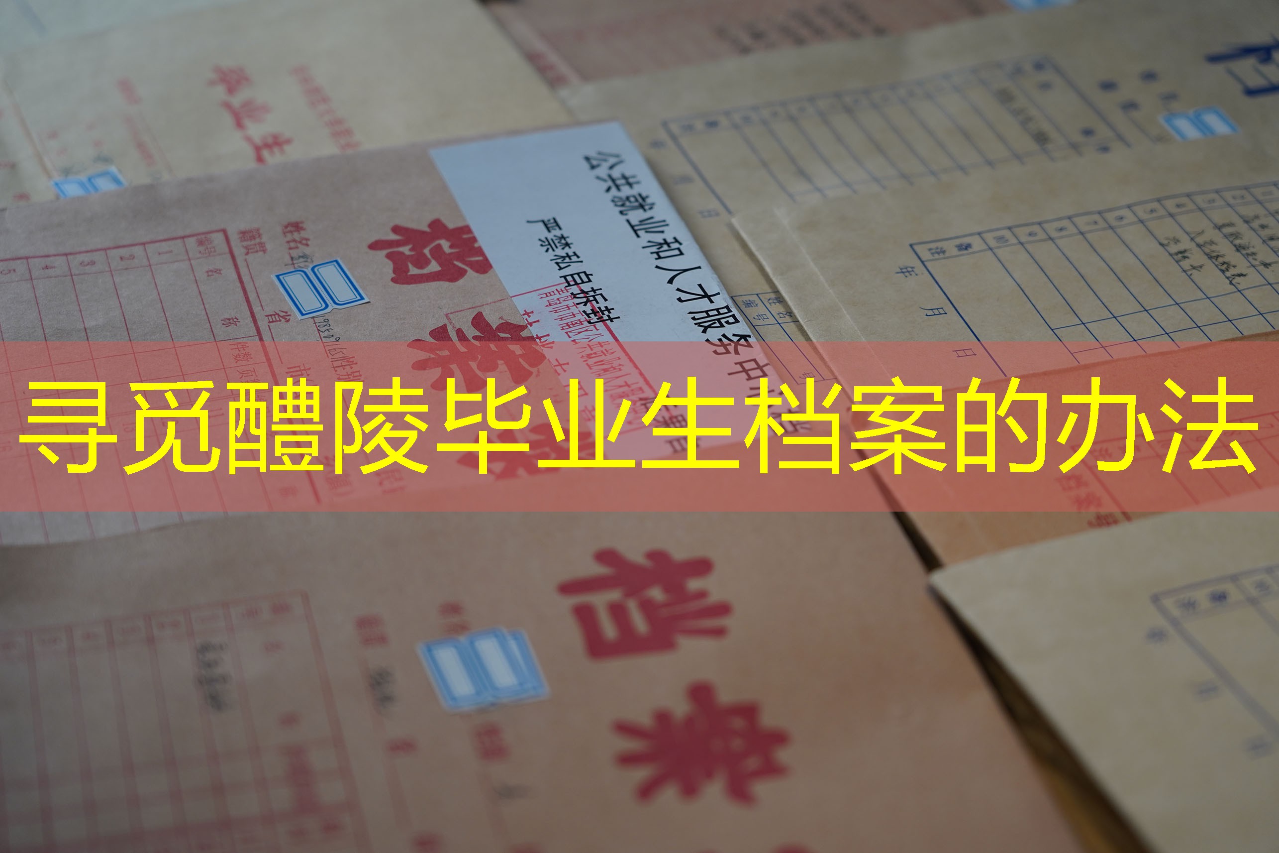档案查询