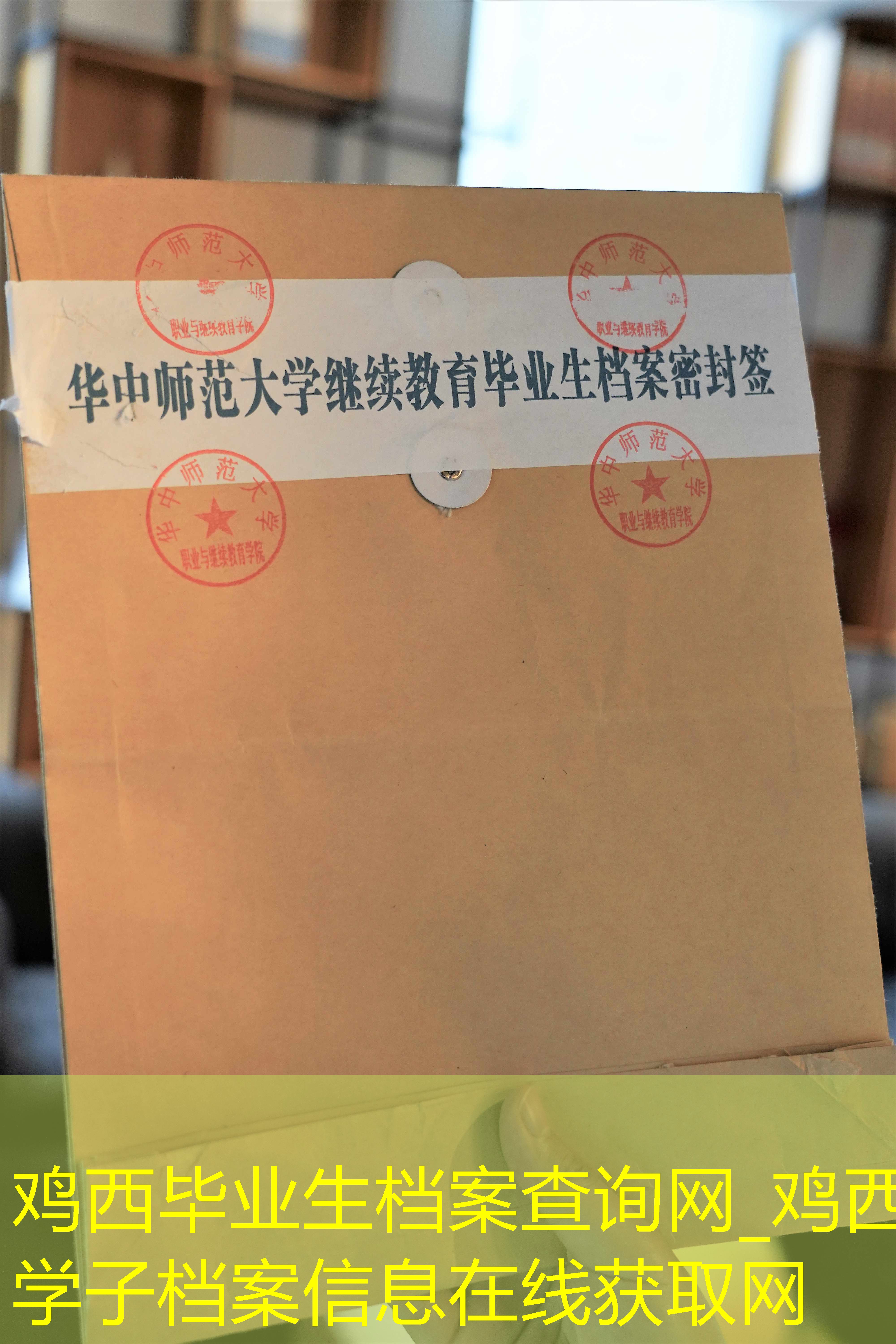 档案查询